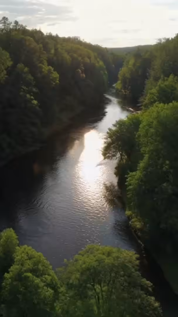 The Winding River