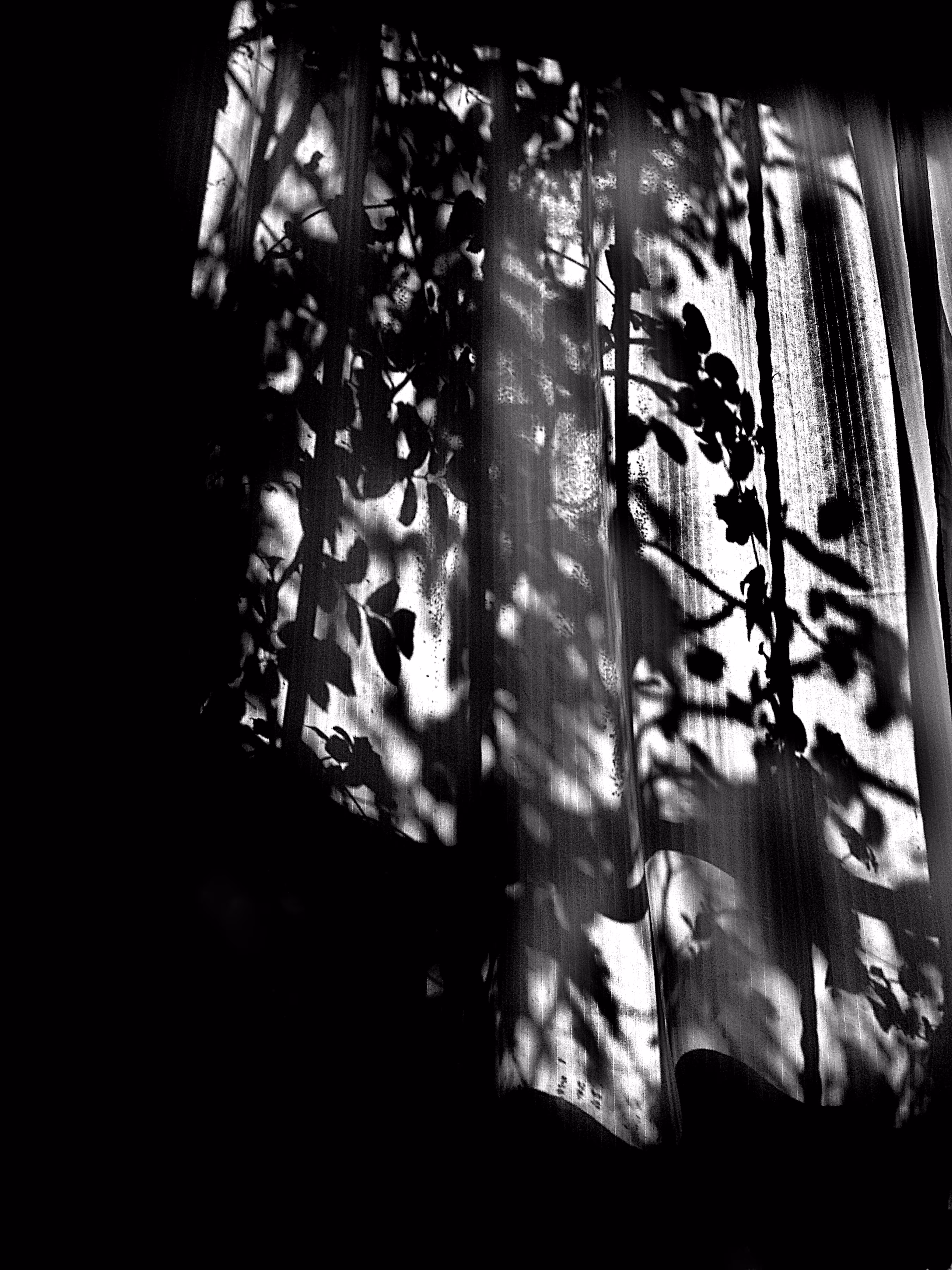 Light and Shadows #2