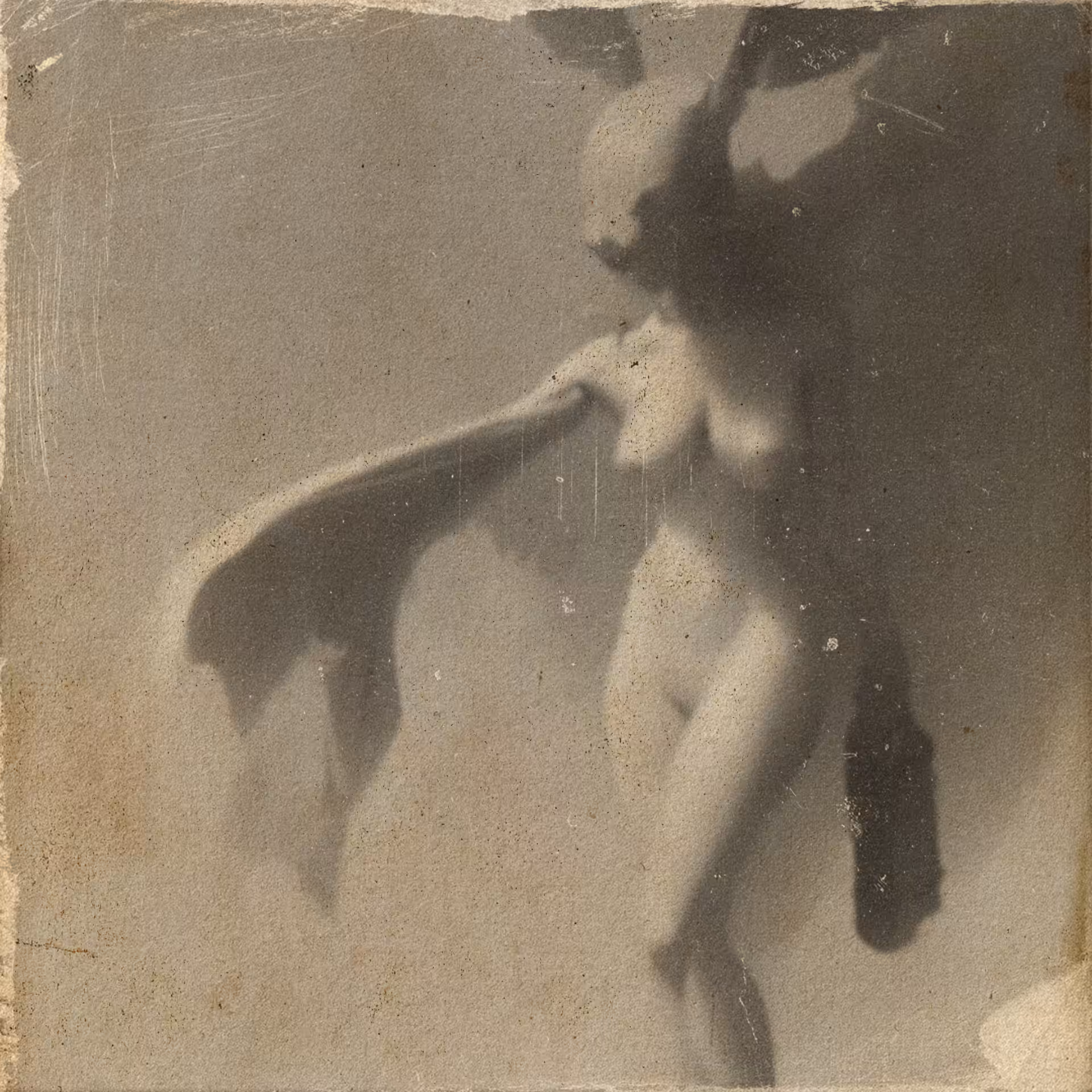 038