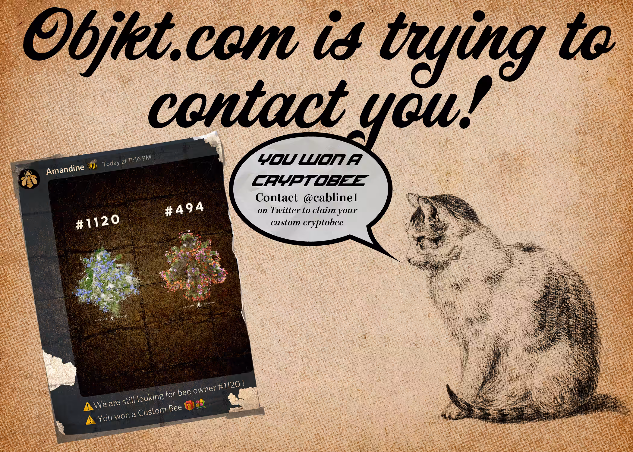 Hey! You Won The CryptoBee Contest!