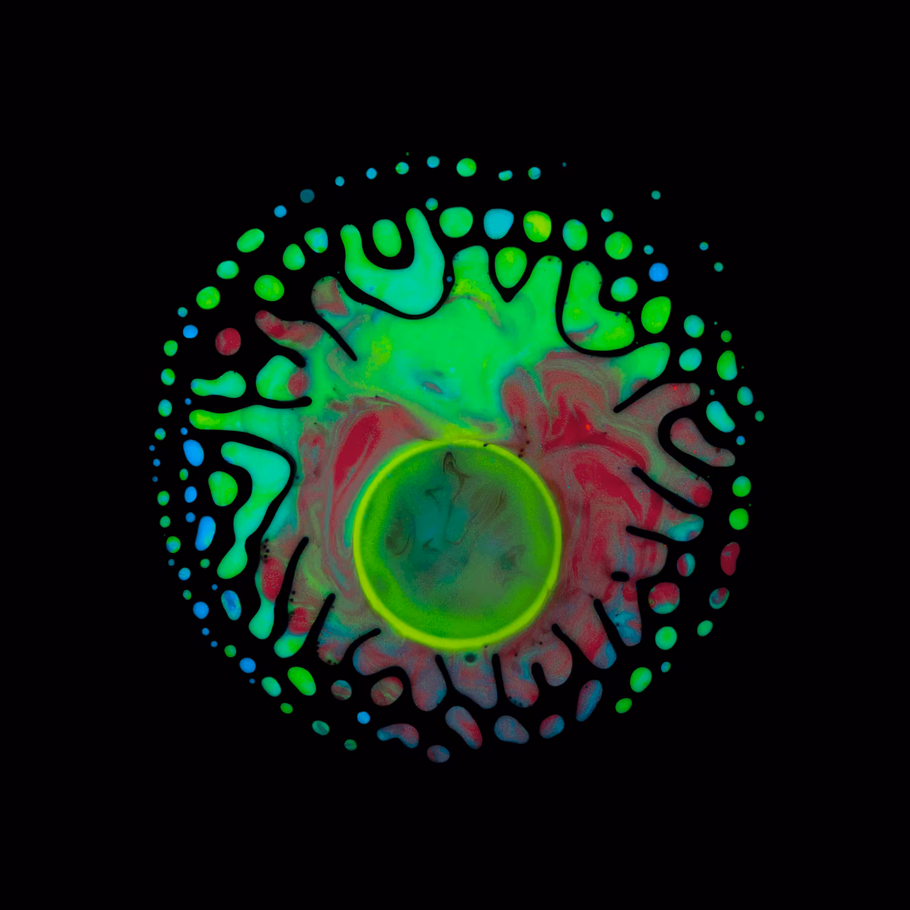 Haematopoiesis #85