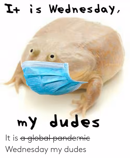 It is Wednesday, my dudes