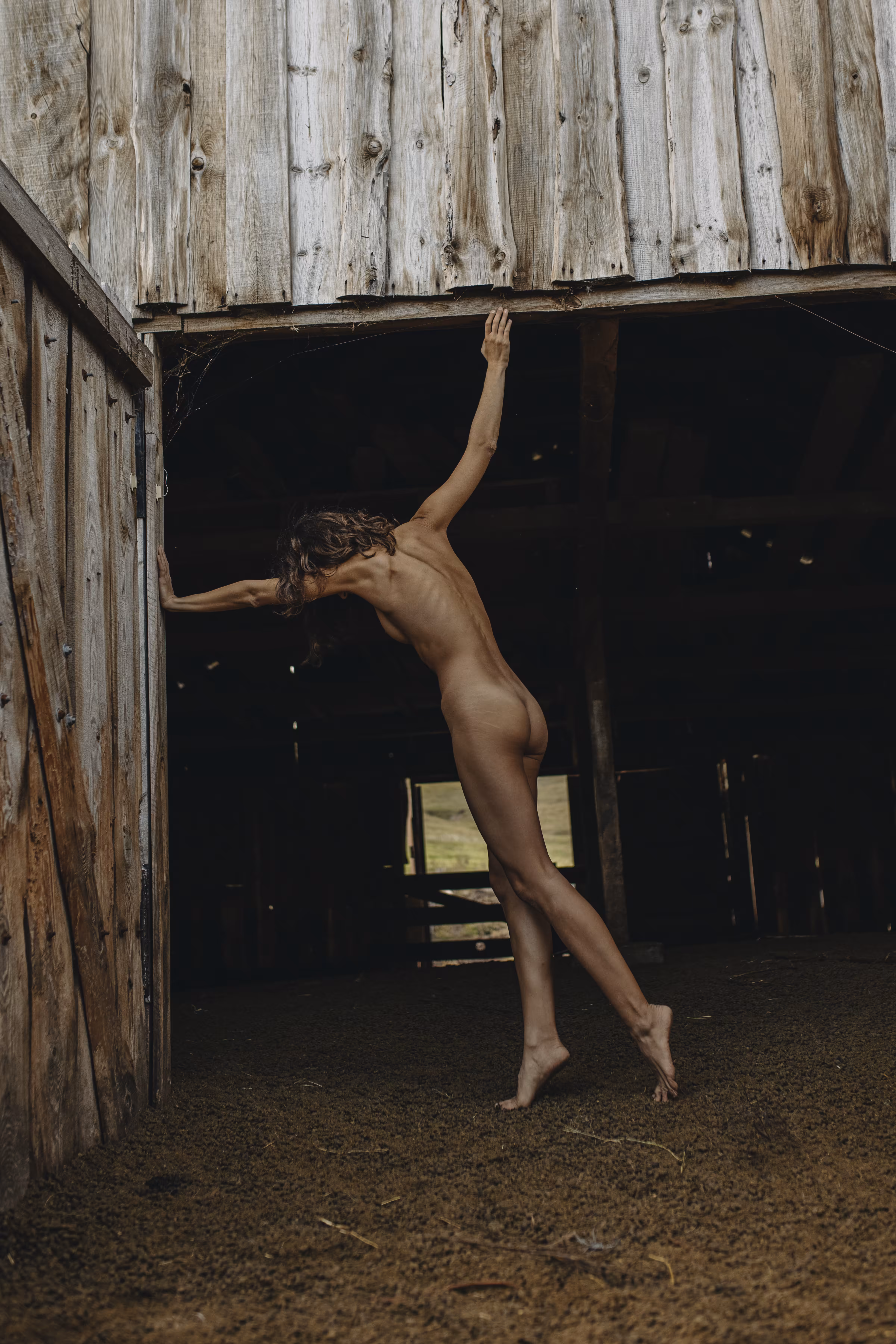 Sheepland #3