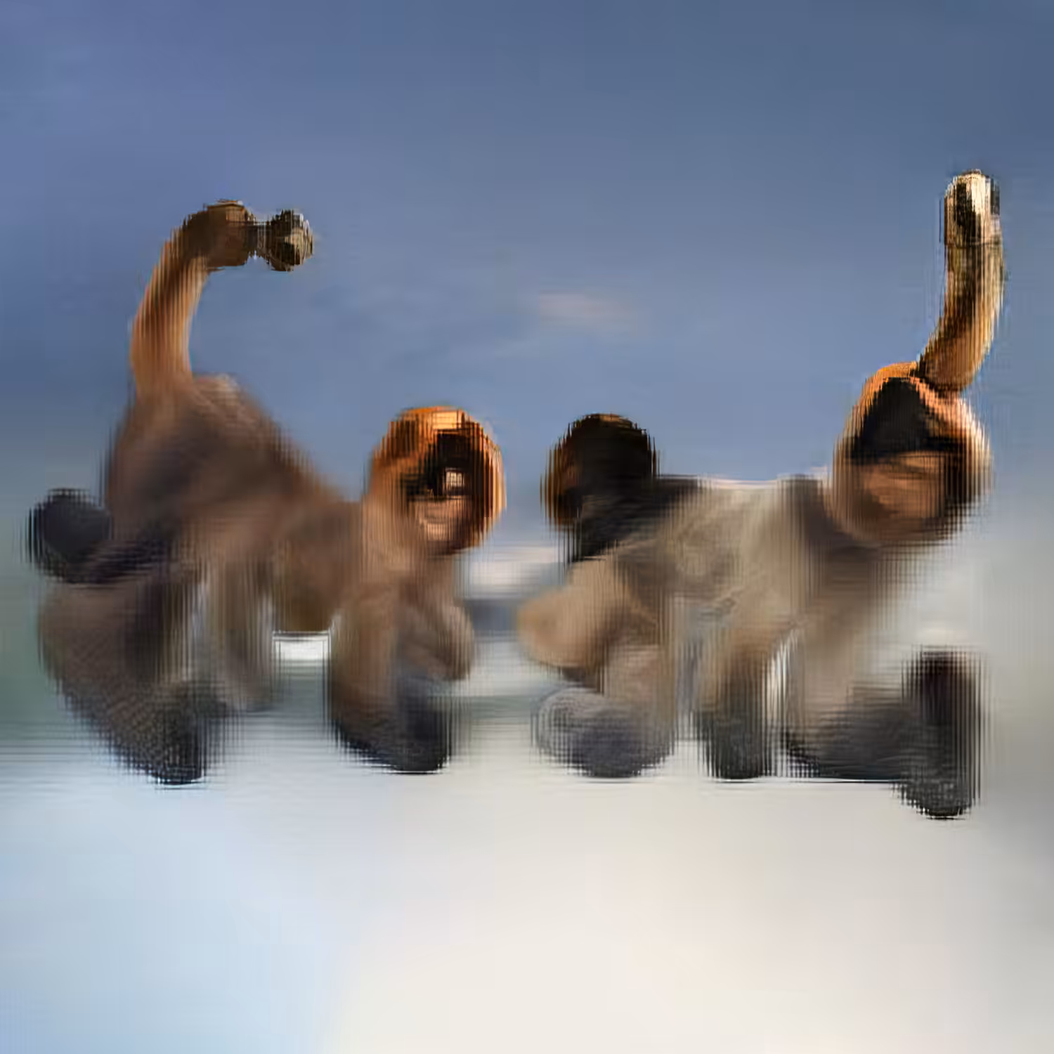 How to Make a Monkey out of Ice 