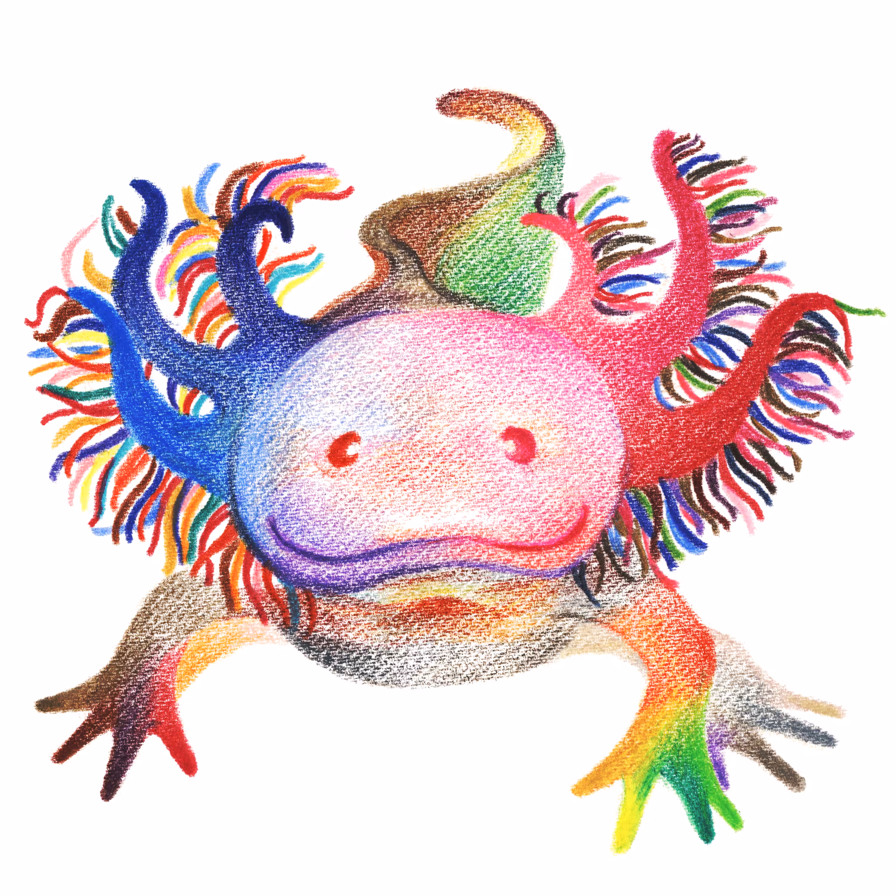 unique Axolotl