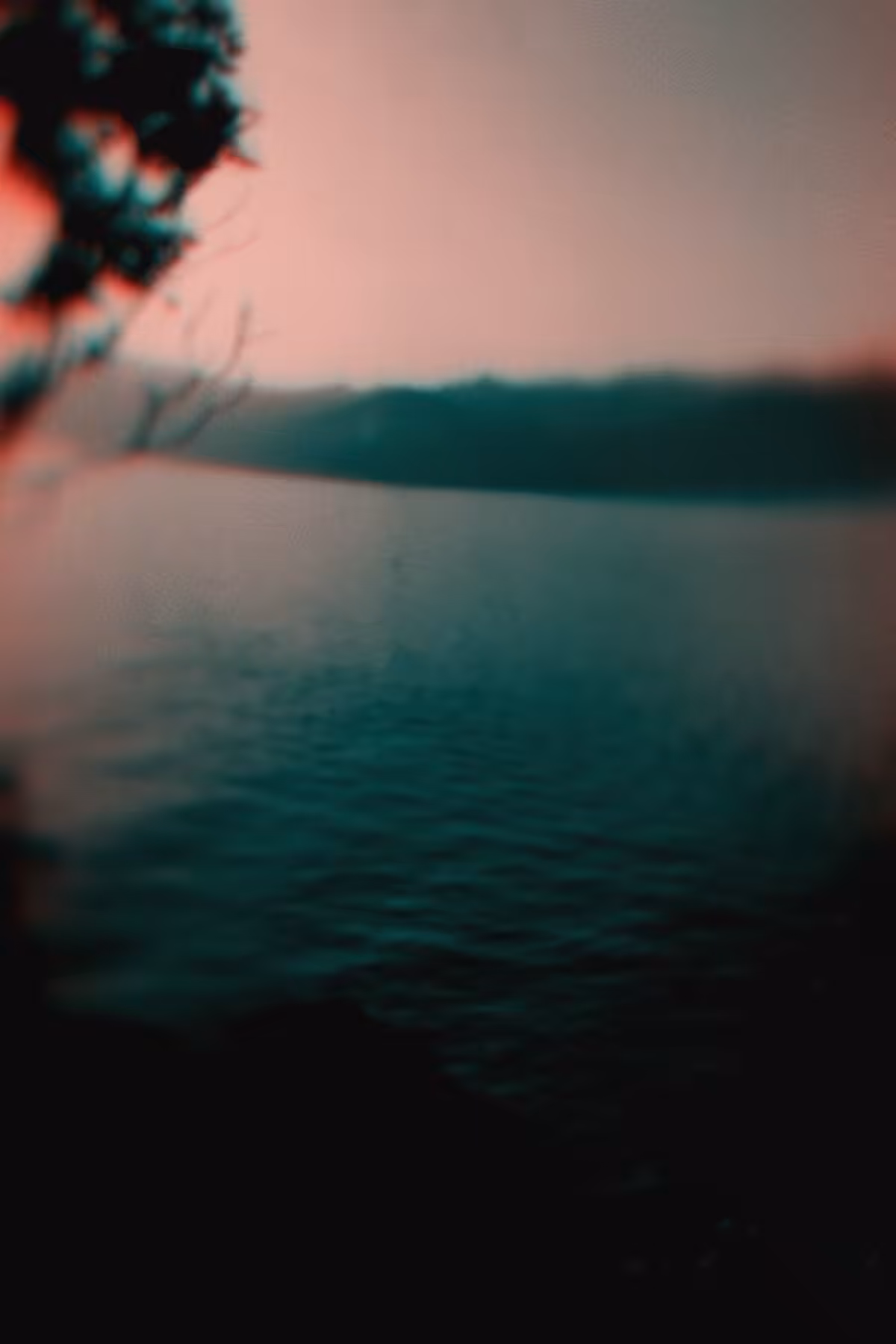 Diaries #53