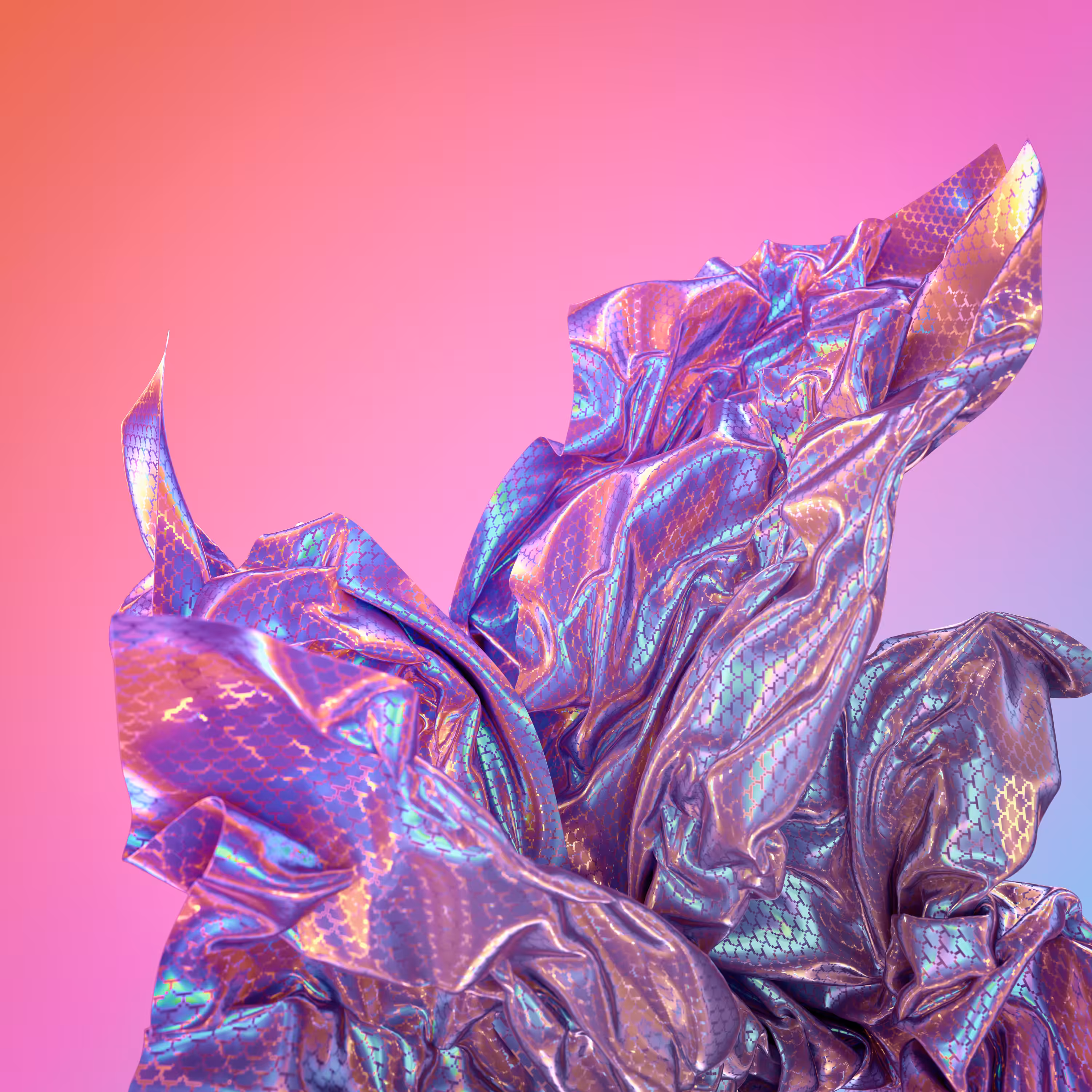 Holocloth I