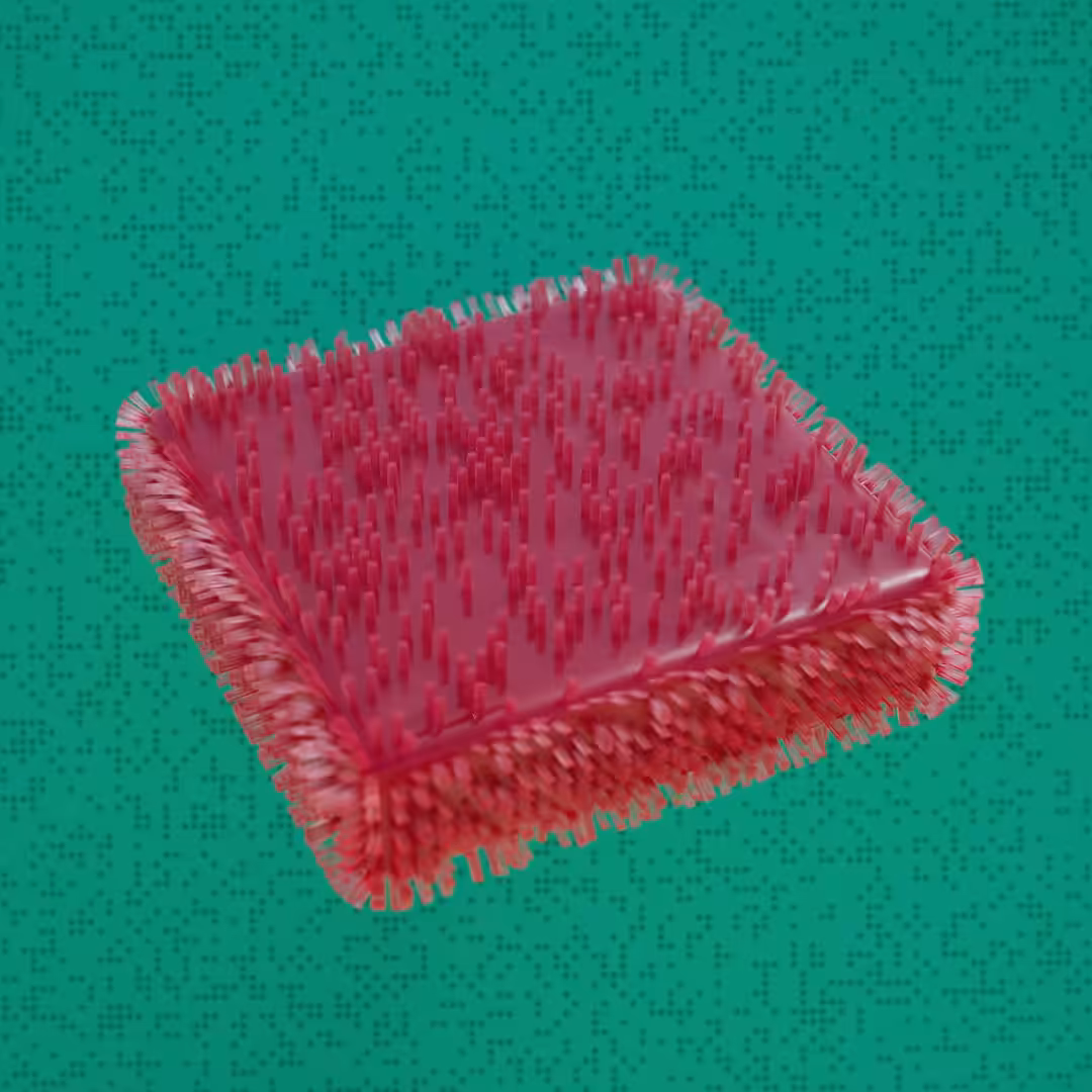 Strange soft body 01