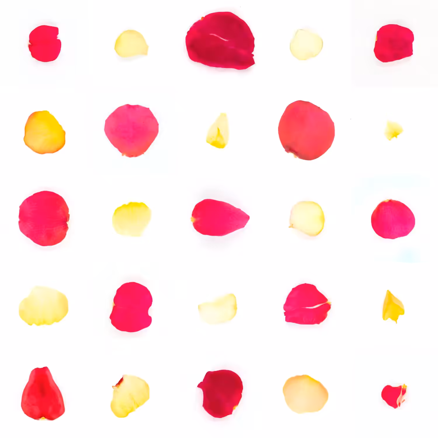 Infinite Petals 5x5#20241