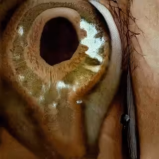 Perfect Abstract Art Polygon: What does the eye say 