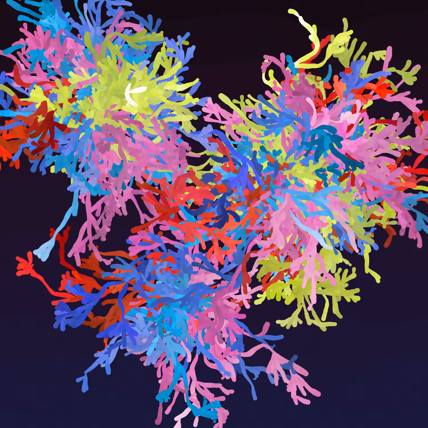 Corals #2