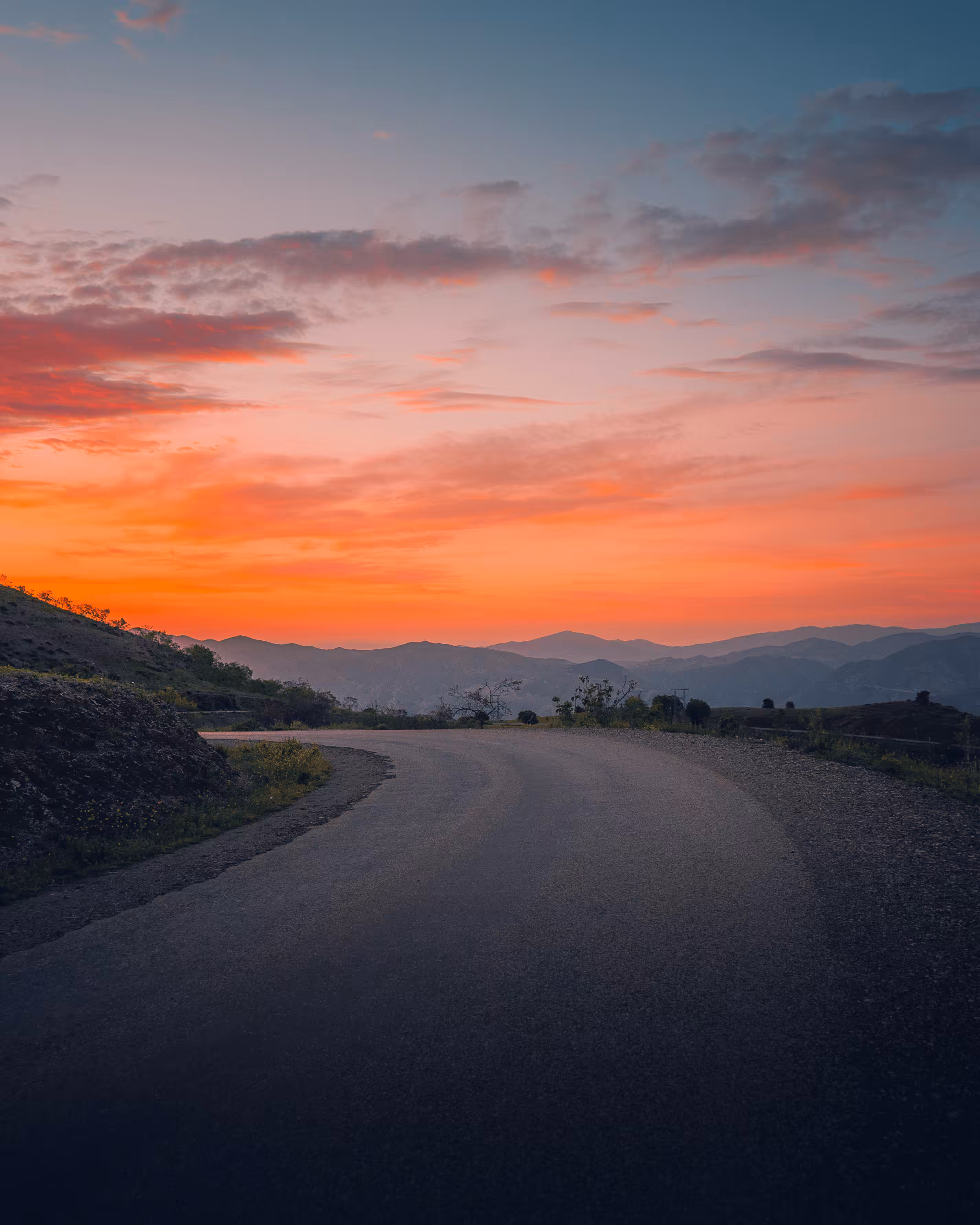 Beautiful nature: The peace of morning light