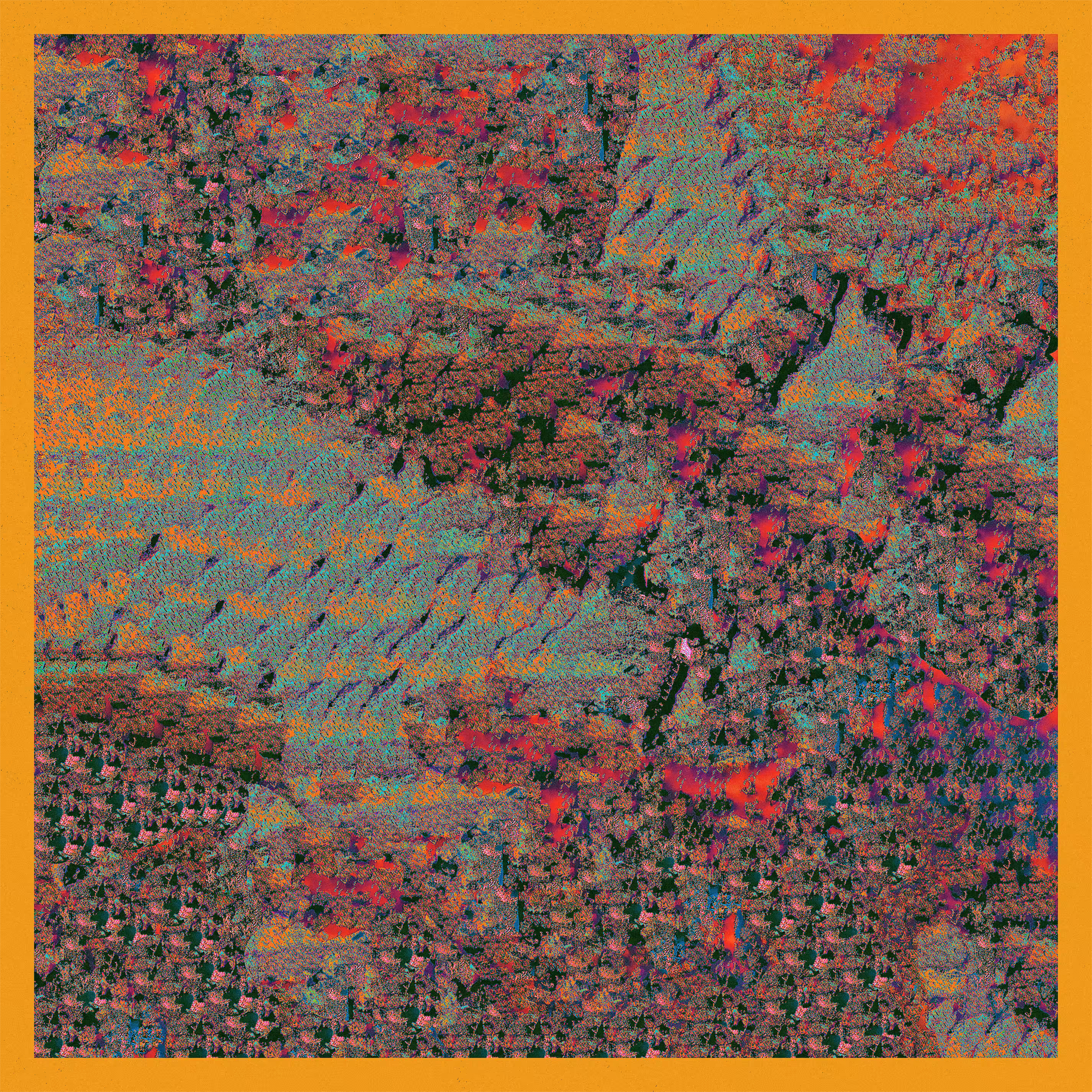 Wildflowers XXXI
