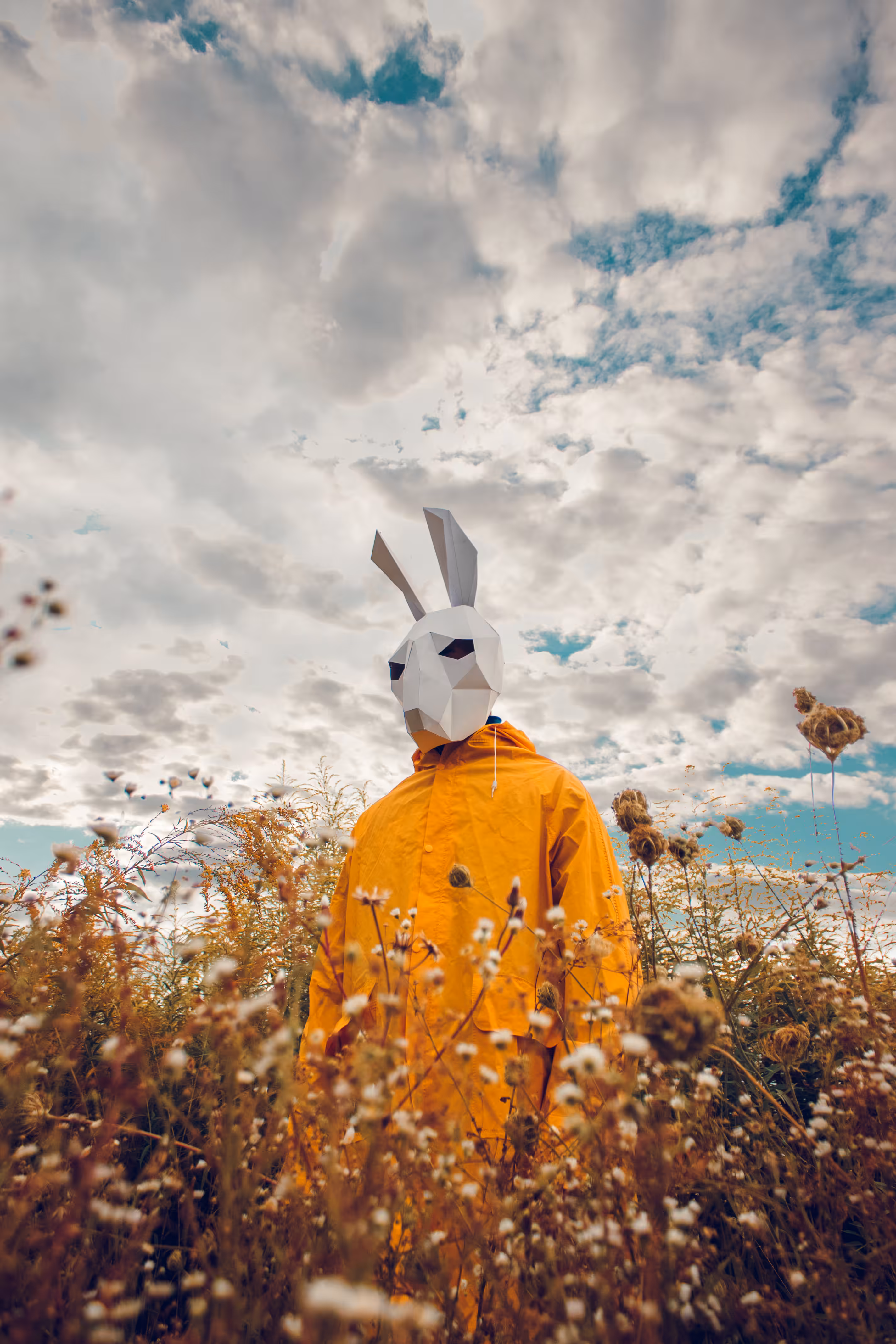 Crypto bunny