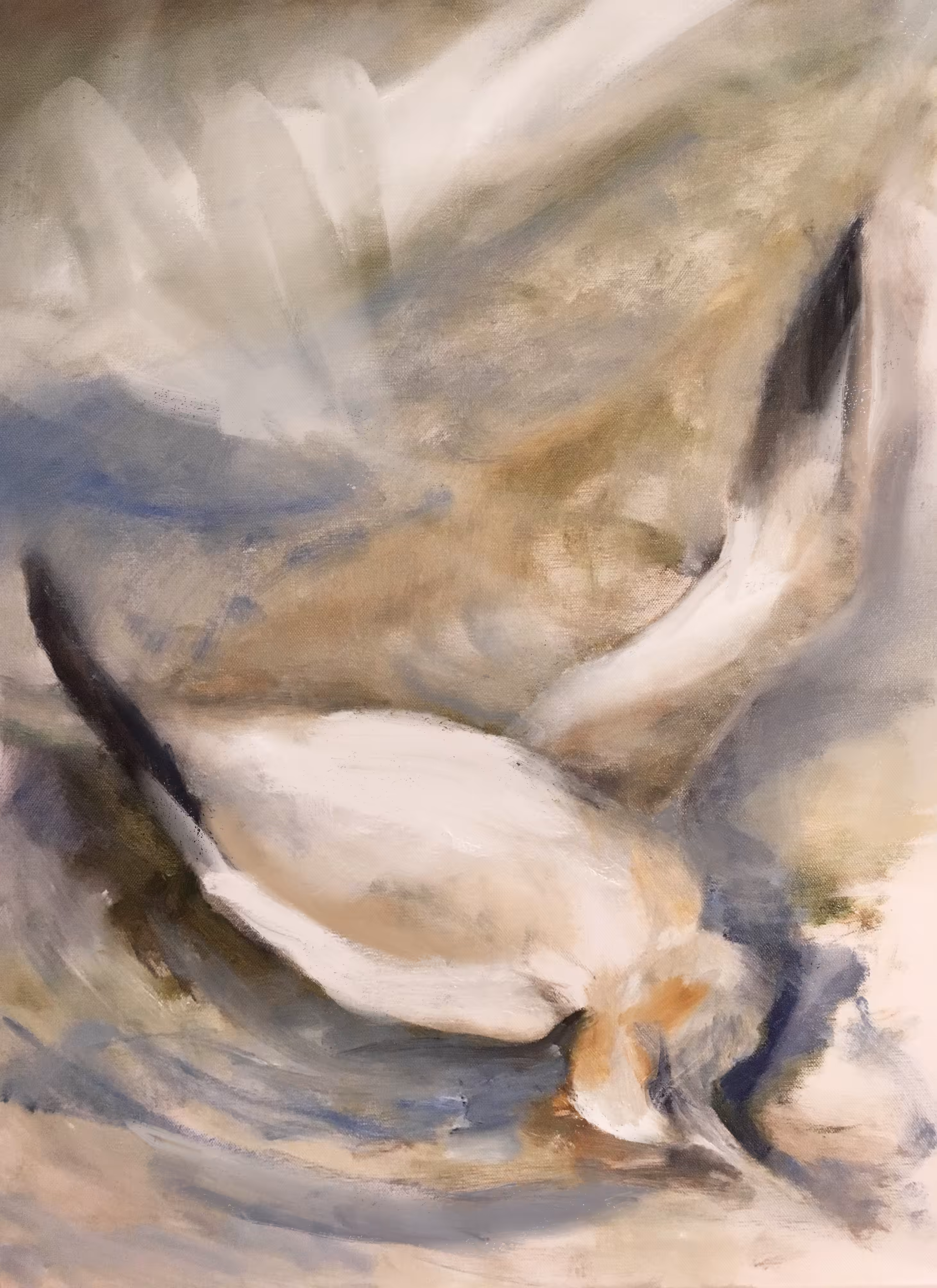 The Whiteness of the Whale 2