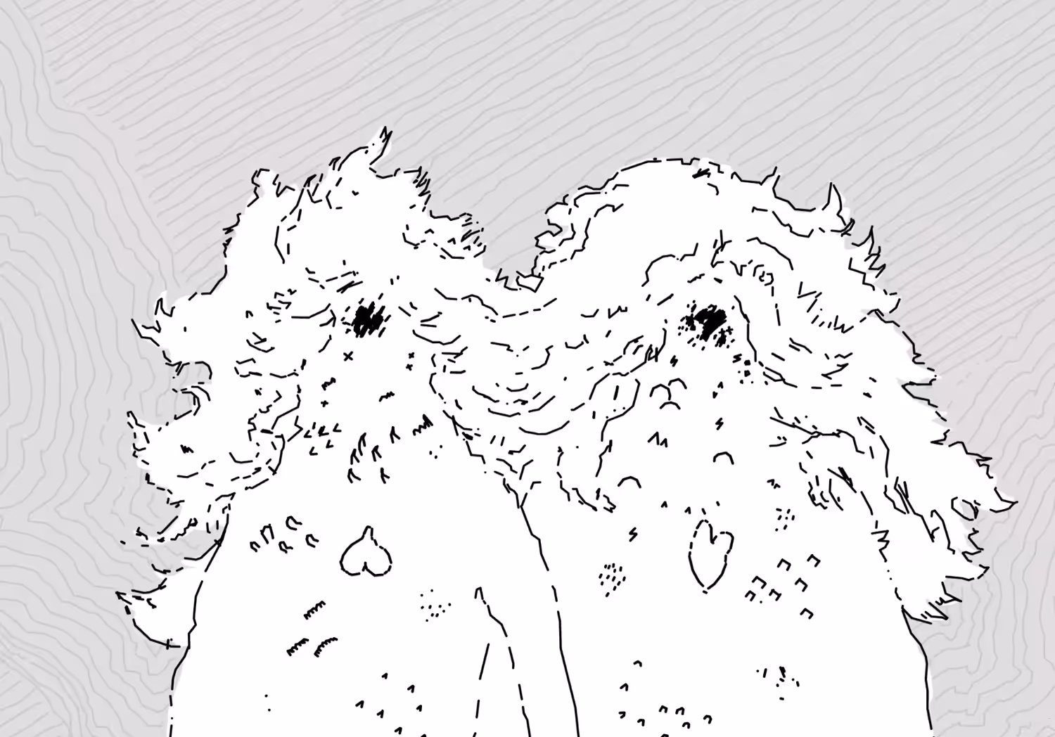 Shared Hair  Gemini