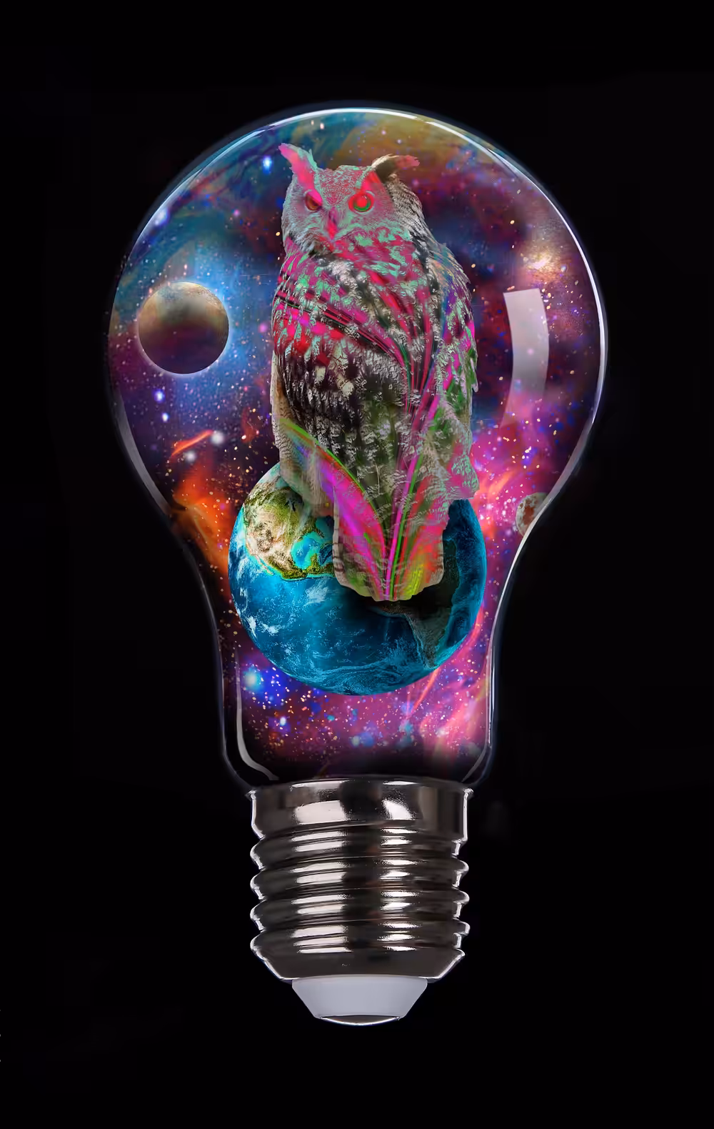 Earth Owl New