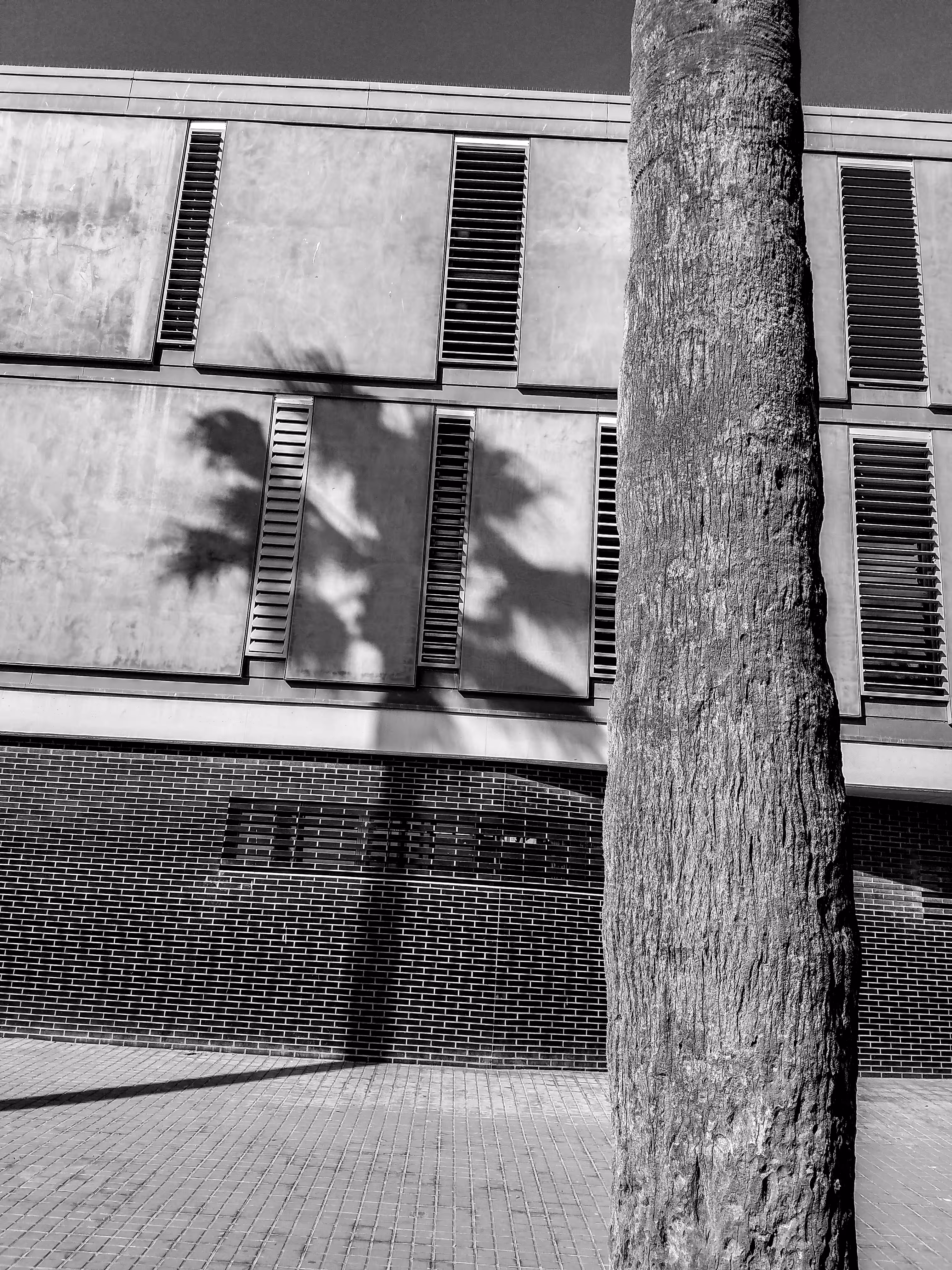 Stolen Camera Blues #4