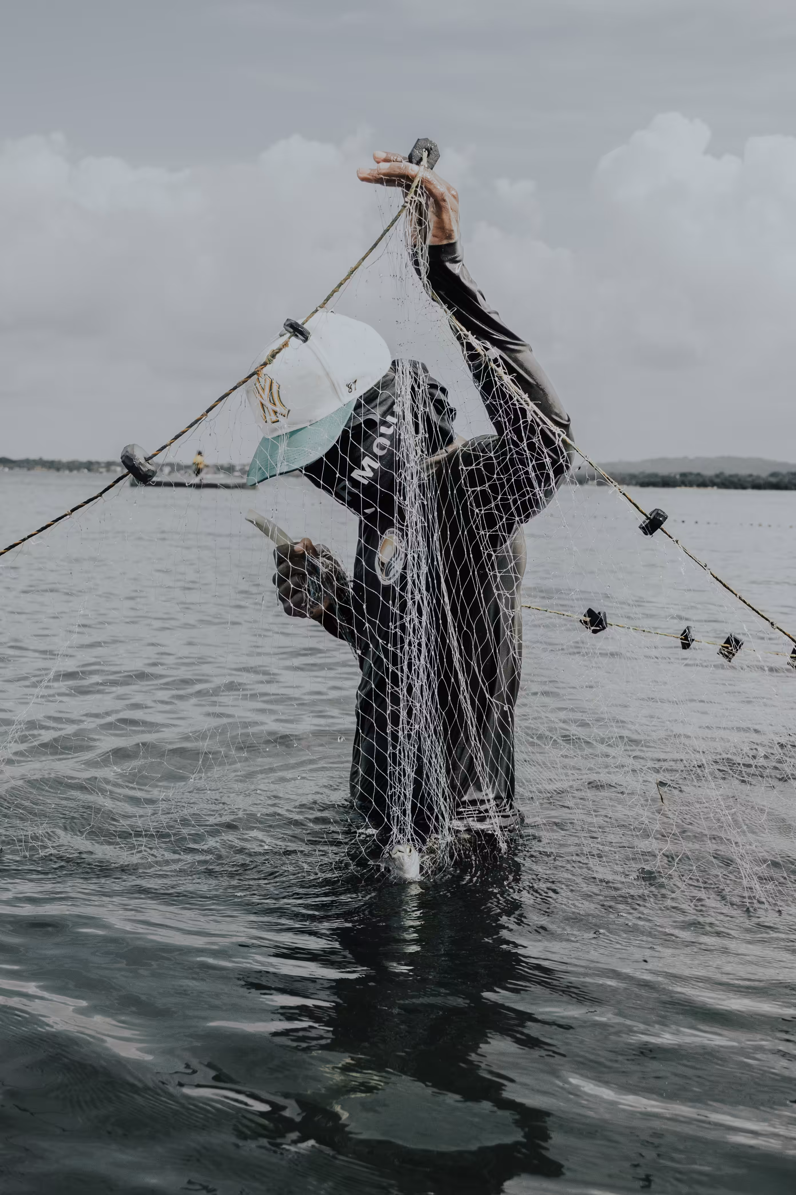The net as an extension of the body