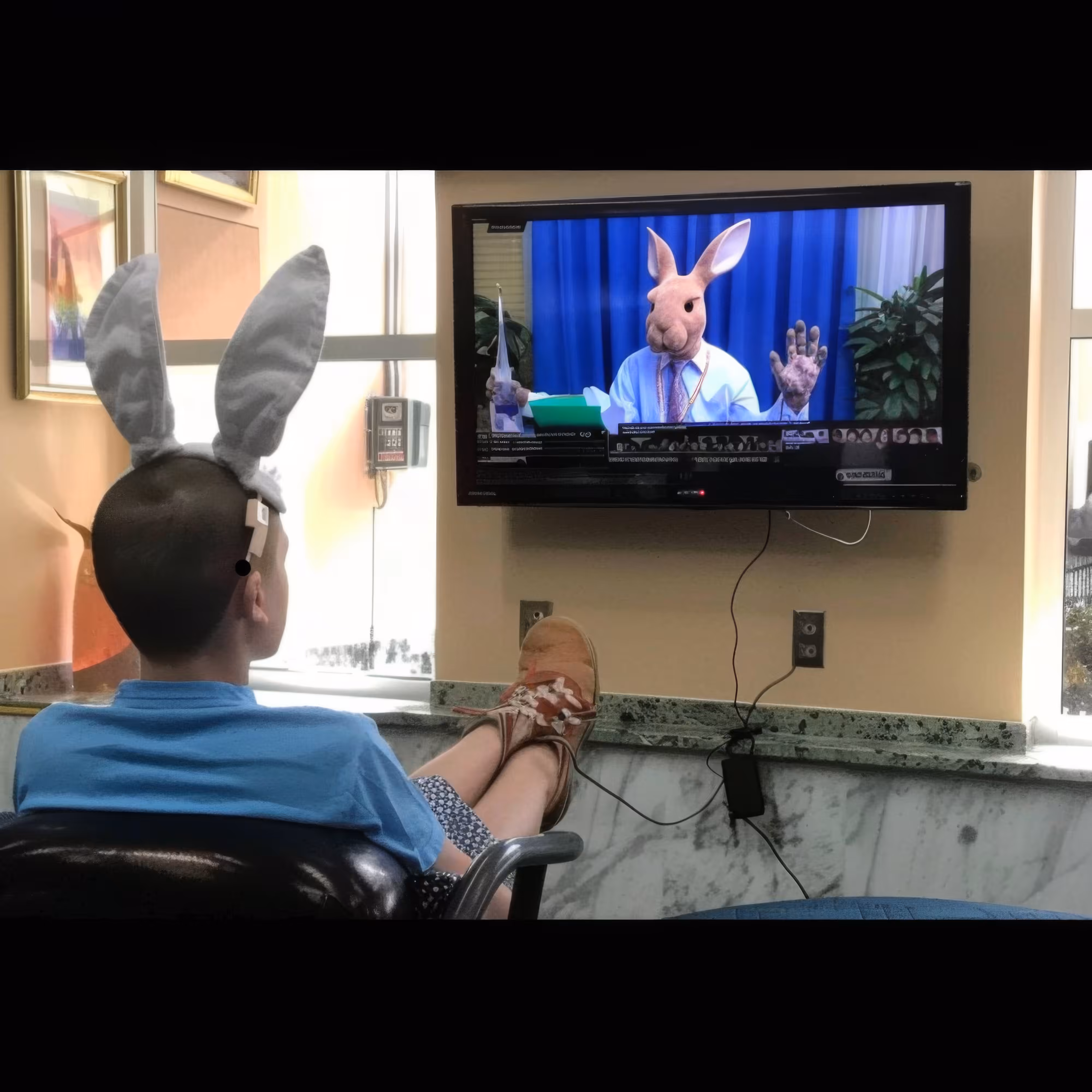Interfacing-Rabbit