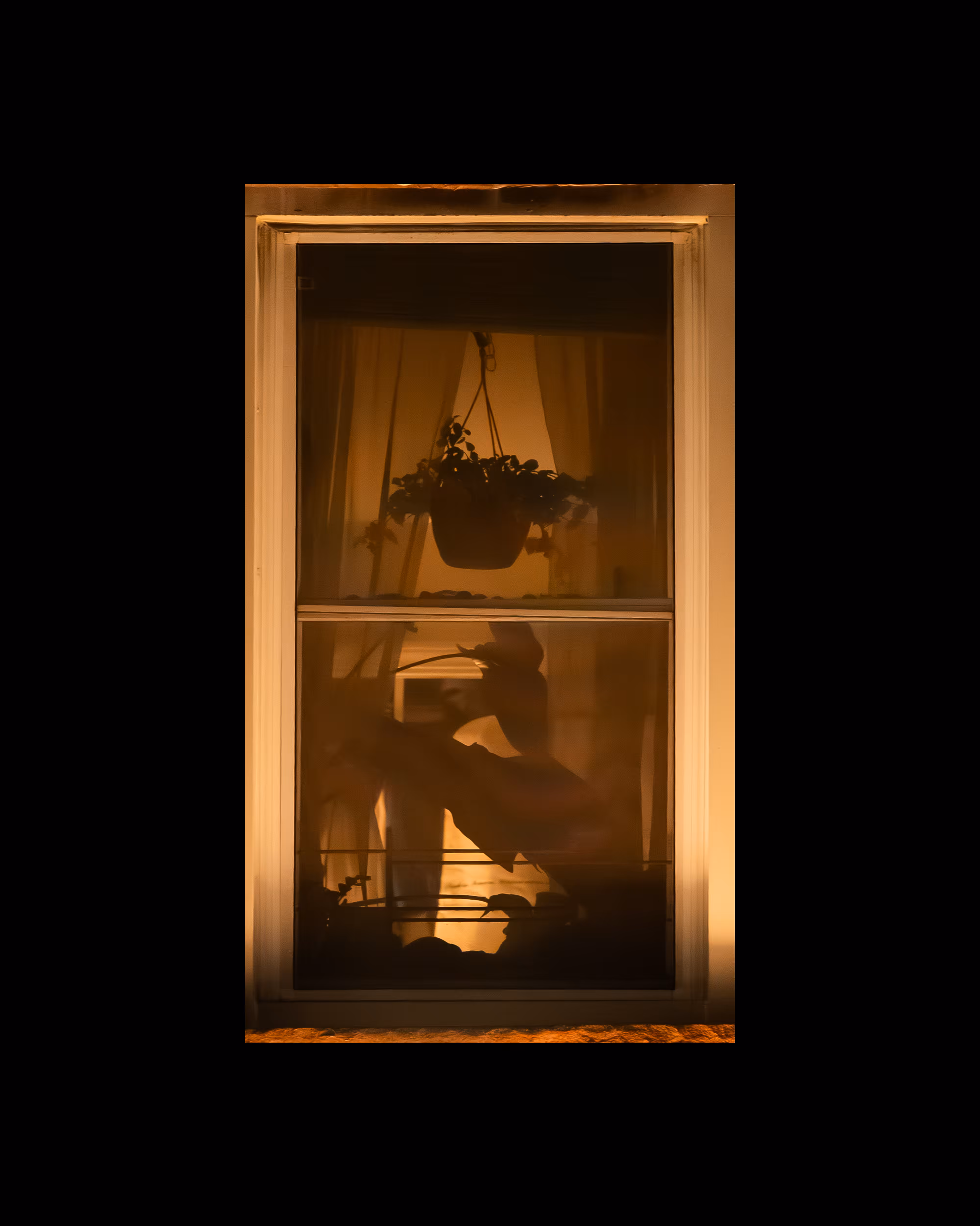 WINDOWS // NYC: WINDOW 30
