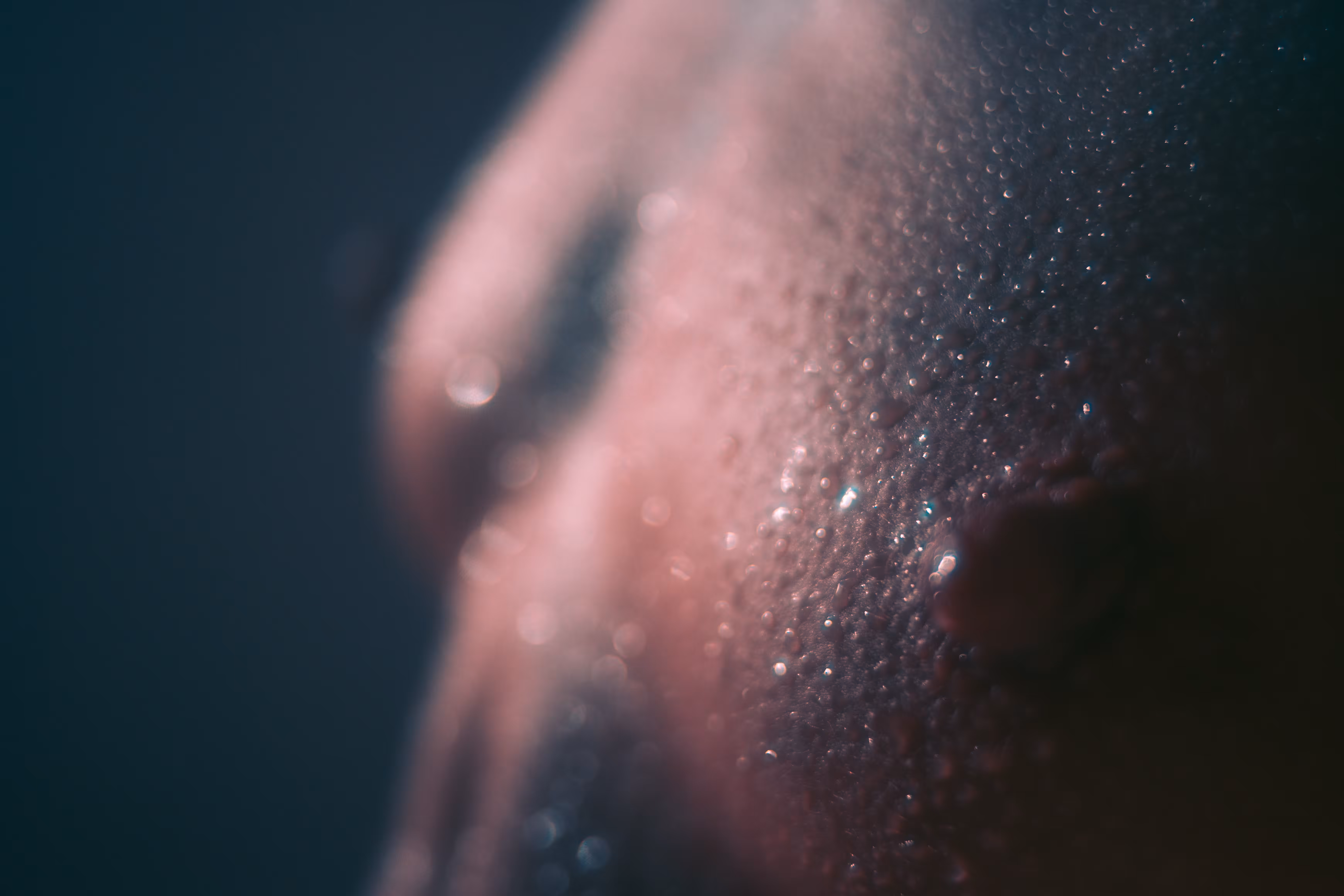 BODY 08