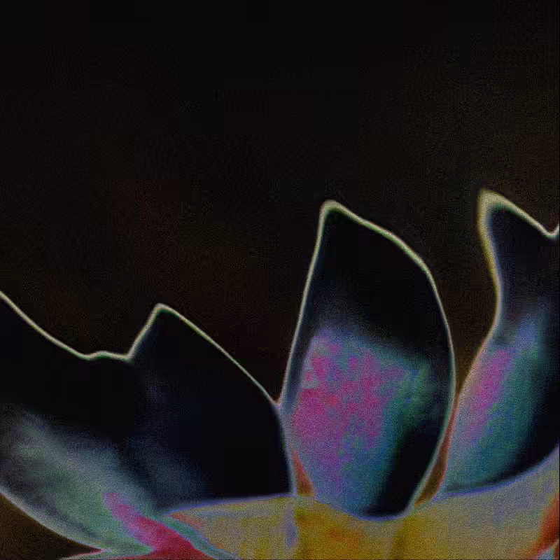 CLDCSMC #128