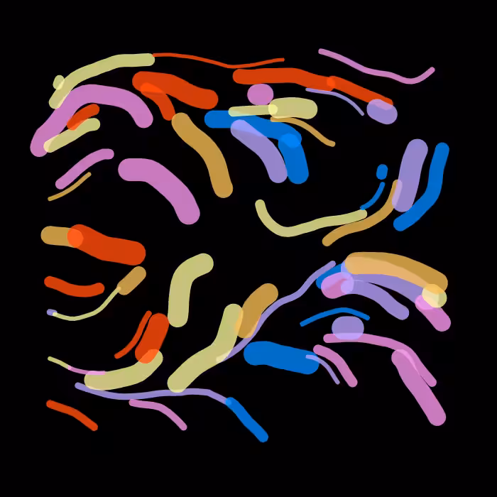 Vanilla Flowfield #34