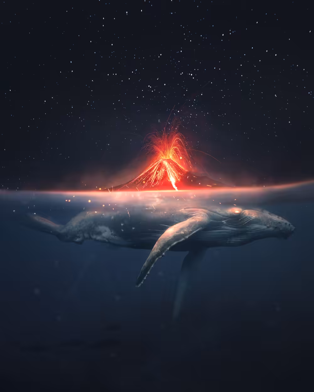 The Whale