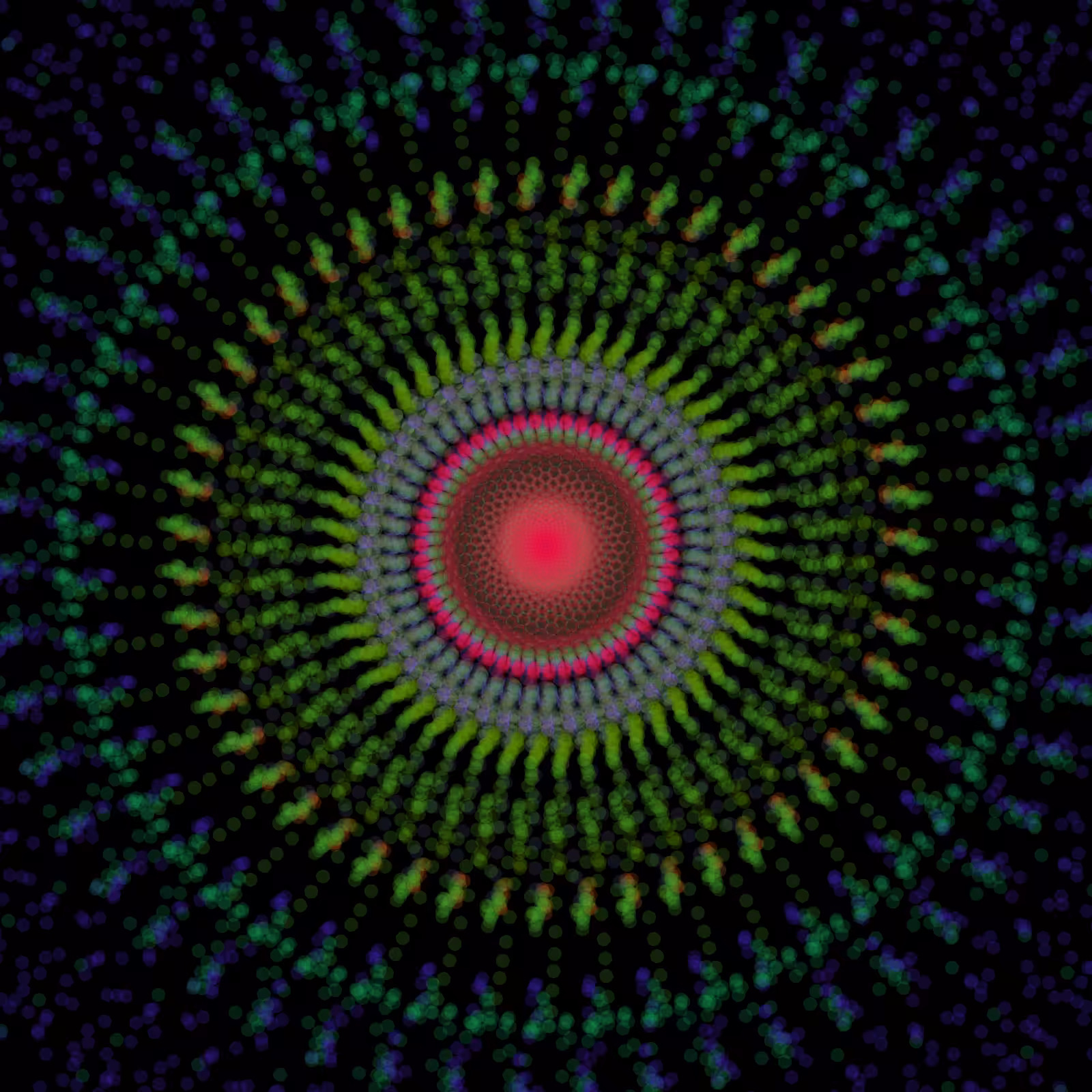 Experiment No.3 - Hypothesis #24