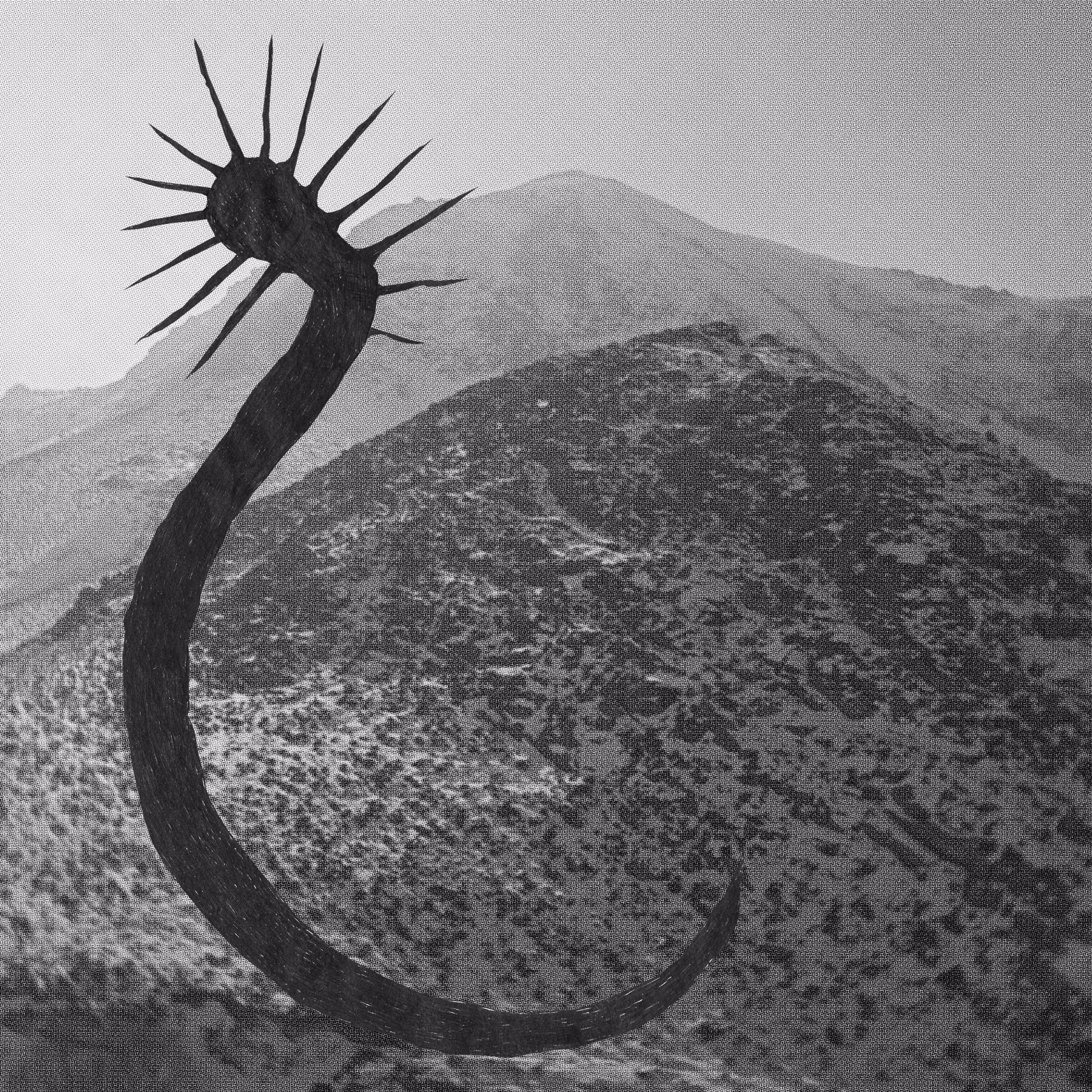 A catalogue of silence: 5