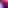 Flowers - Orchid