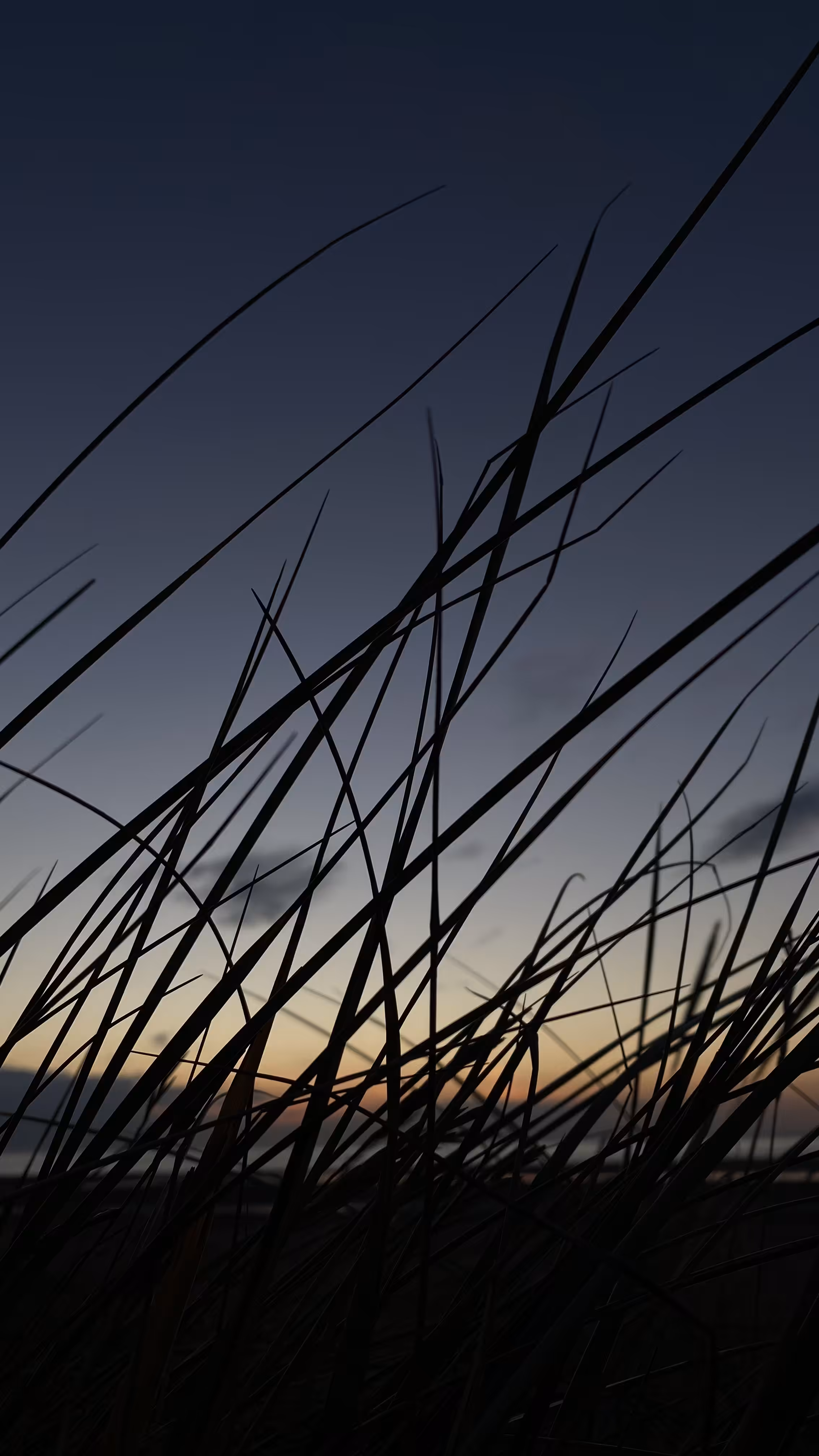 Whispers of the Dune