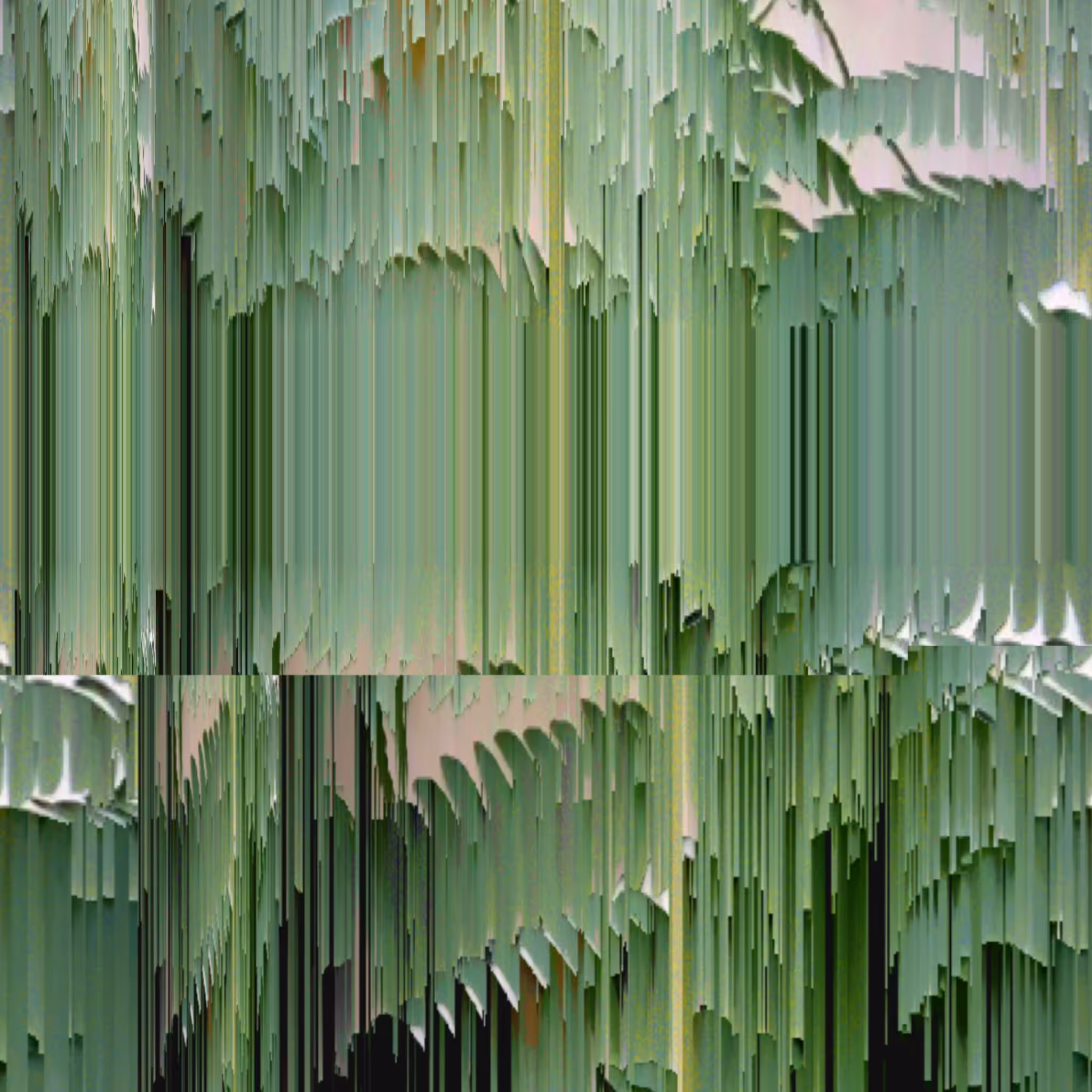 ferns are weeds