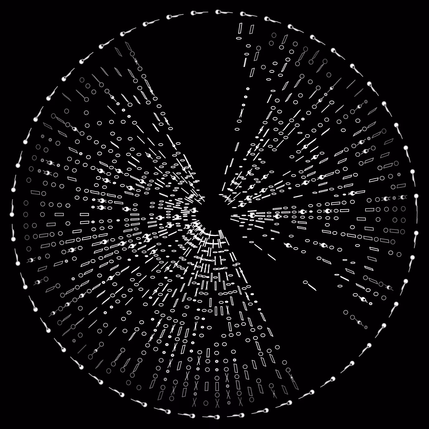 codex -120152679.