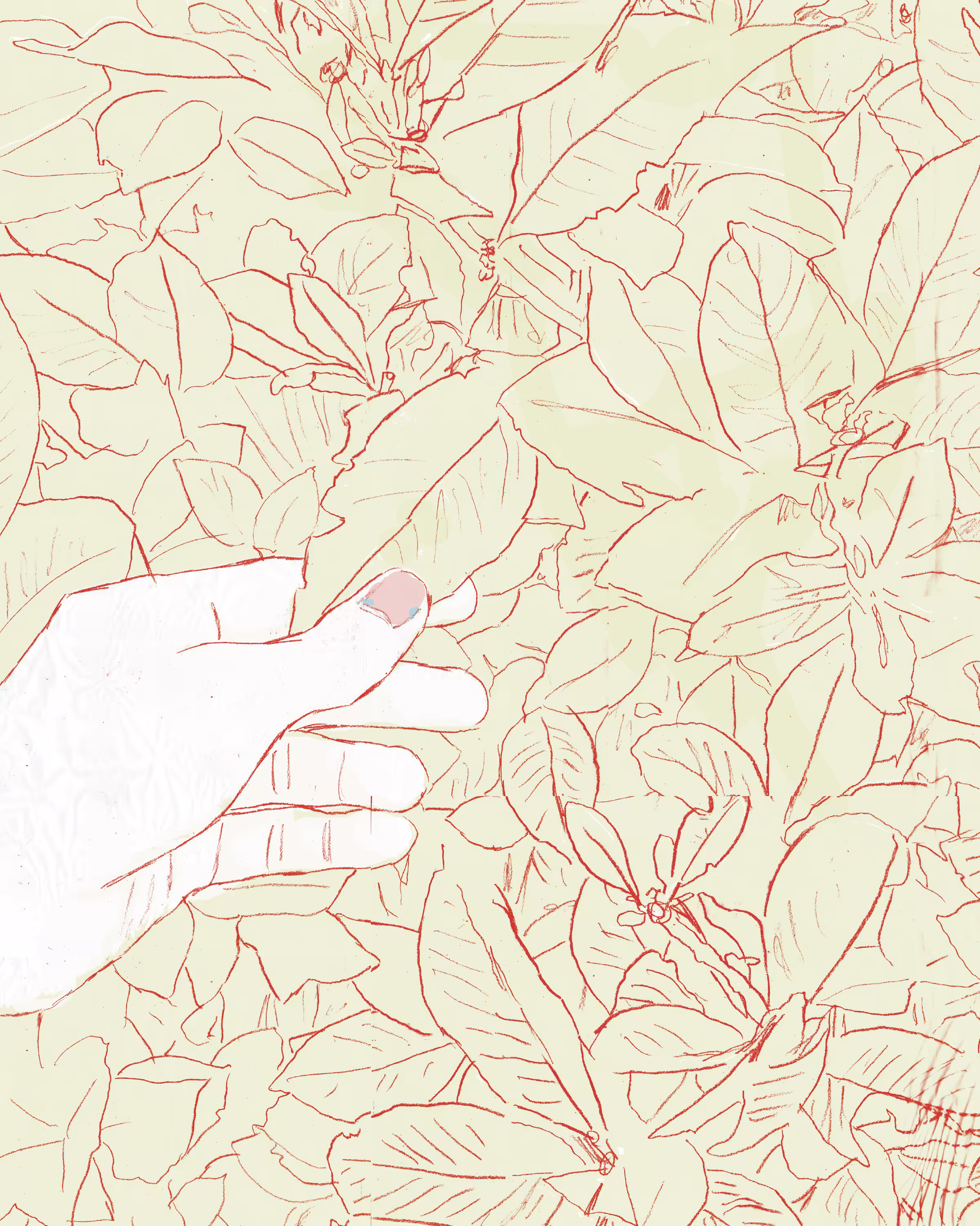 Red leaves