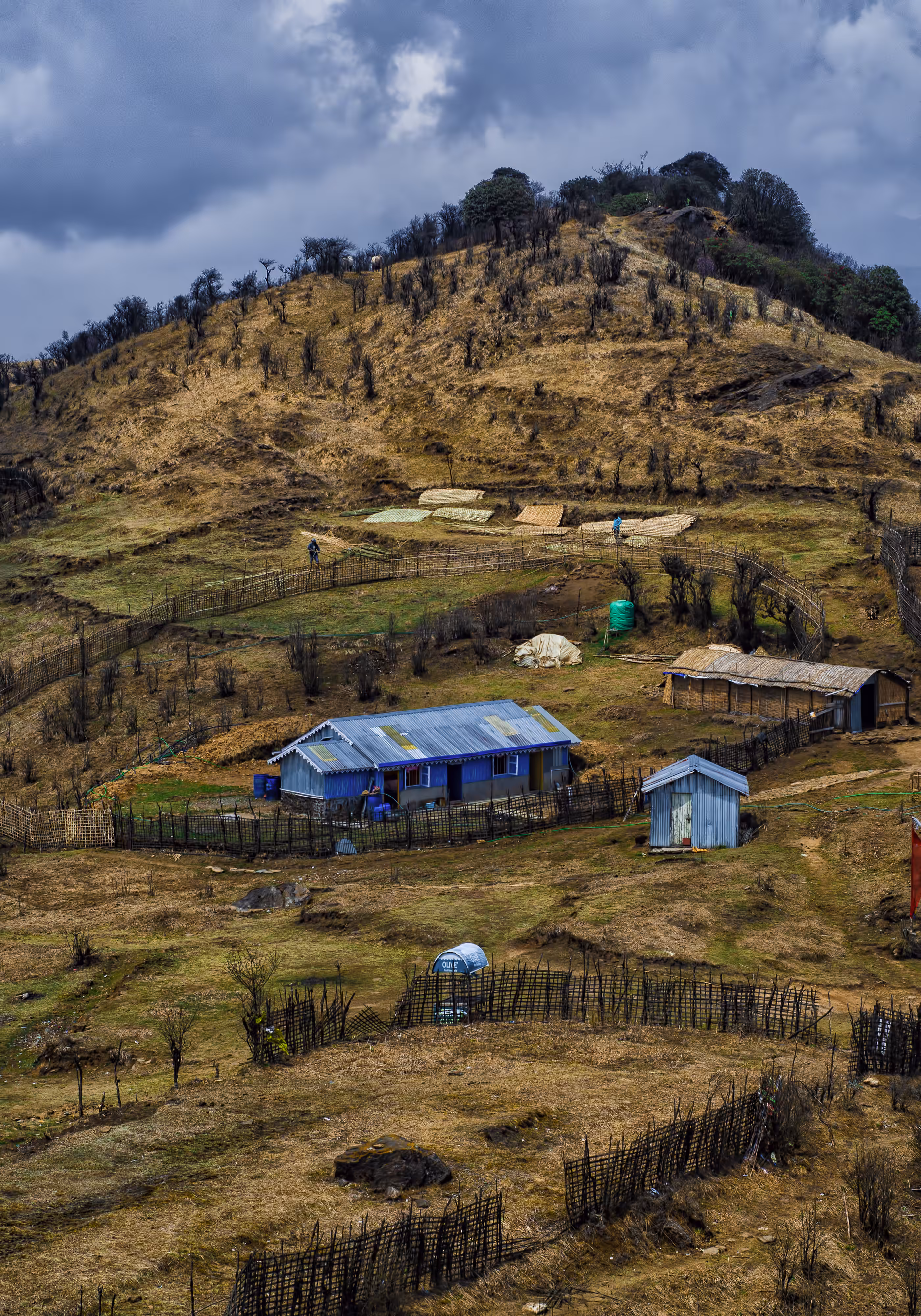 House on the Hill