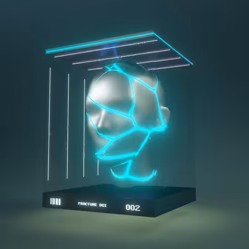 FRACTURE BOI - 002