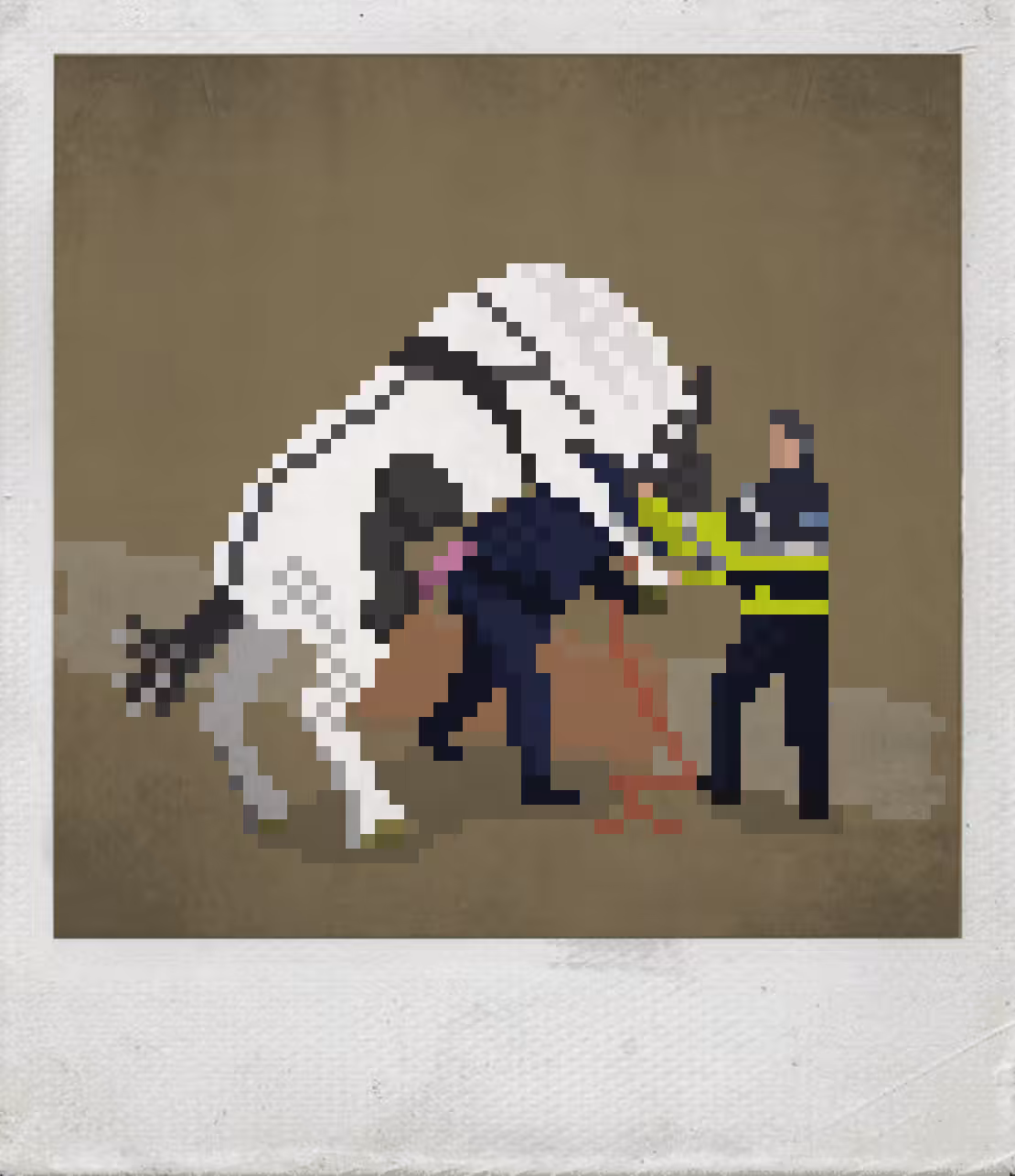Look at my horse, my horse is amazing...
