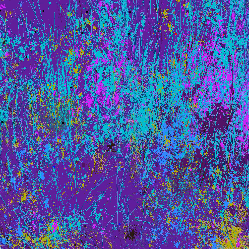 Infinite Garden: 45630 Flowers
