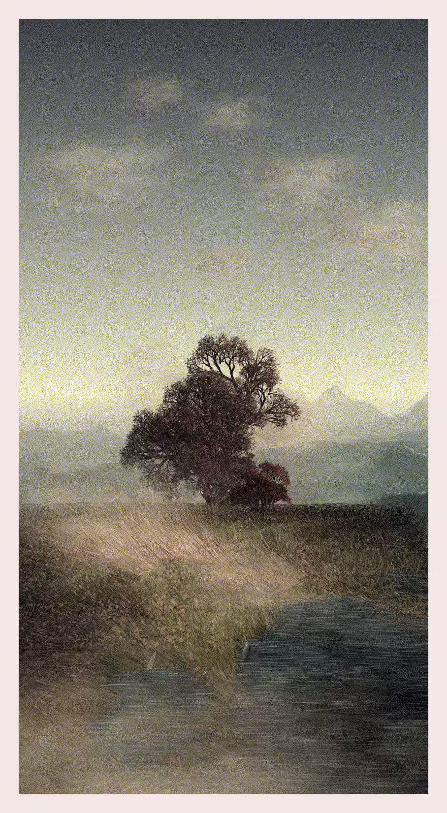 QTNN: Ledina #315