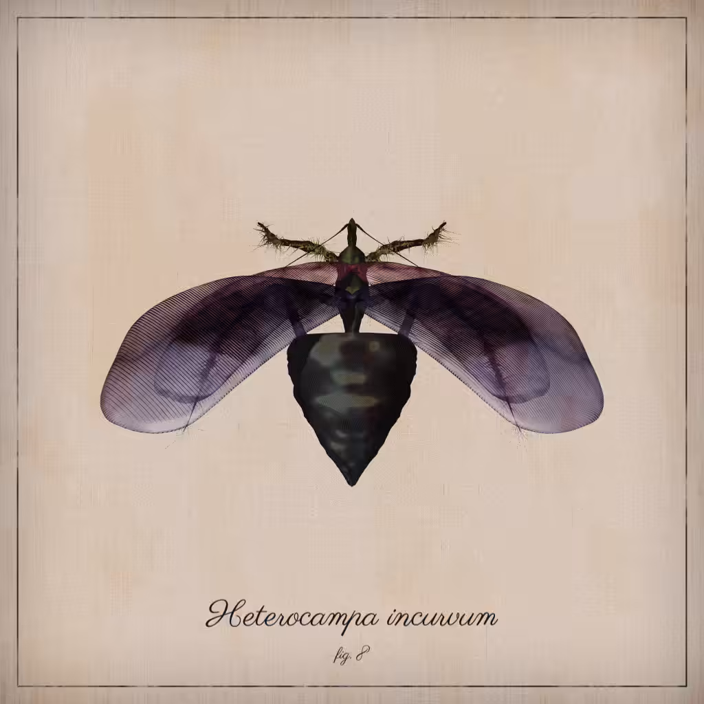 ProcGen Entomology #179