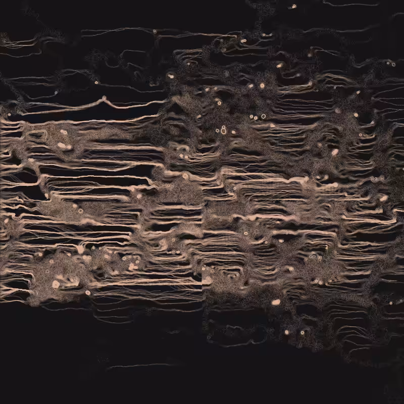 Tribute to Santiago Ramón y Cajal