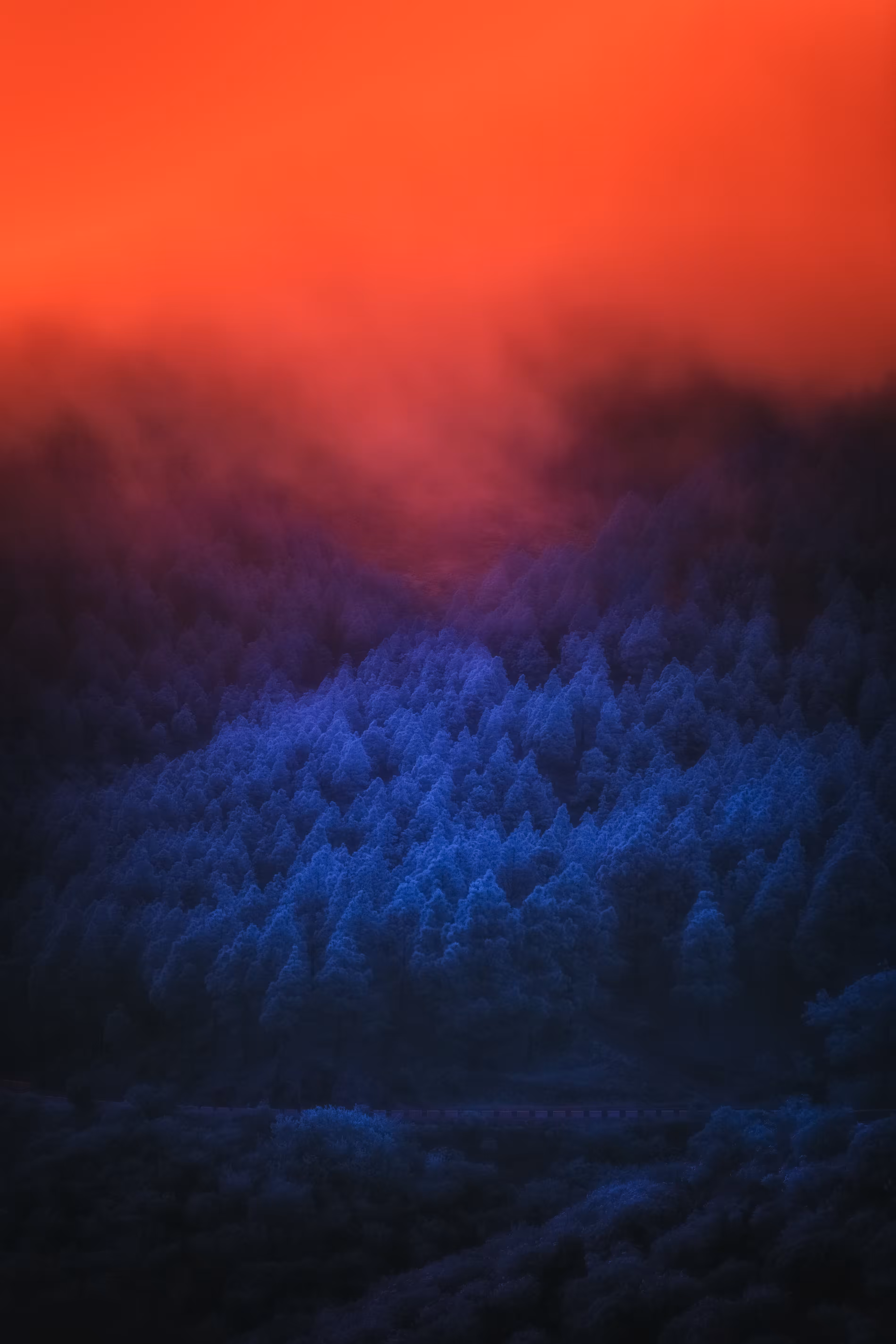 𝖘𝖍𝖎𝖛𝖊𝖗𝖎𝖓𝖌