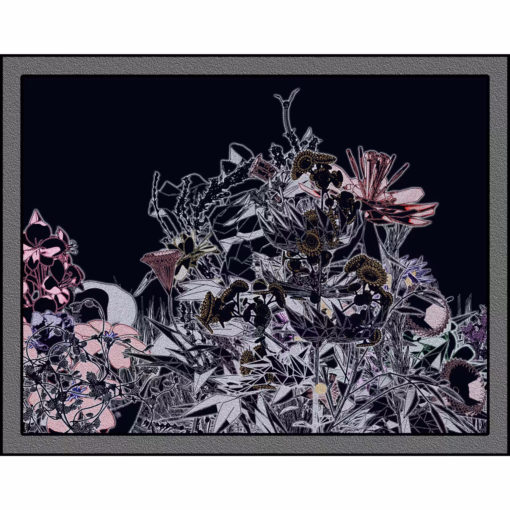 Flower View #62