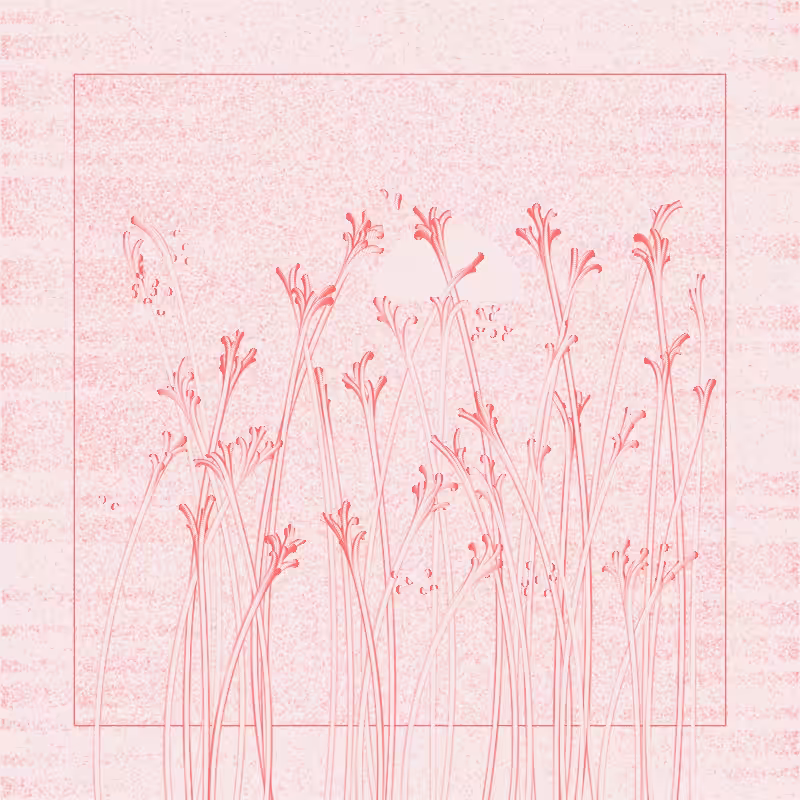 string_pllu #81