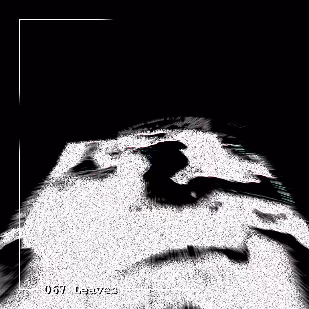 067 Leaves