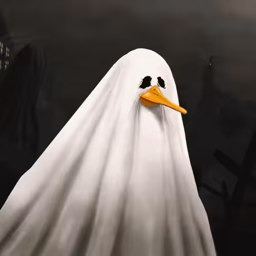A duck in a veil resembles a ghost.