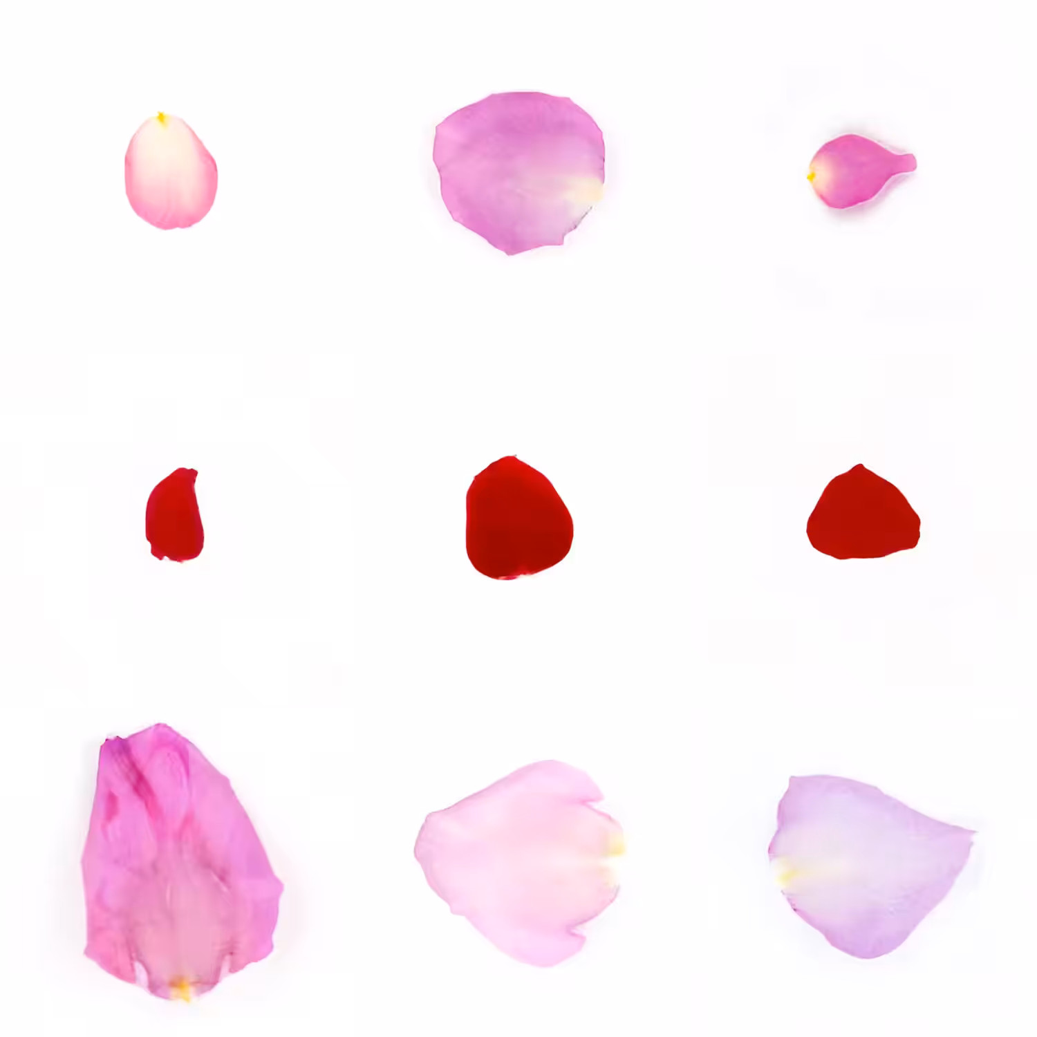 Infinite Petals 3x3#3783