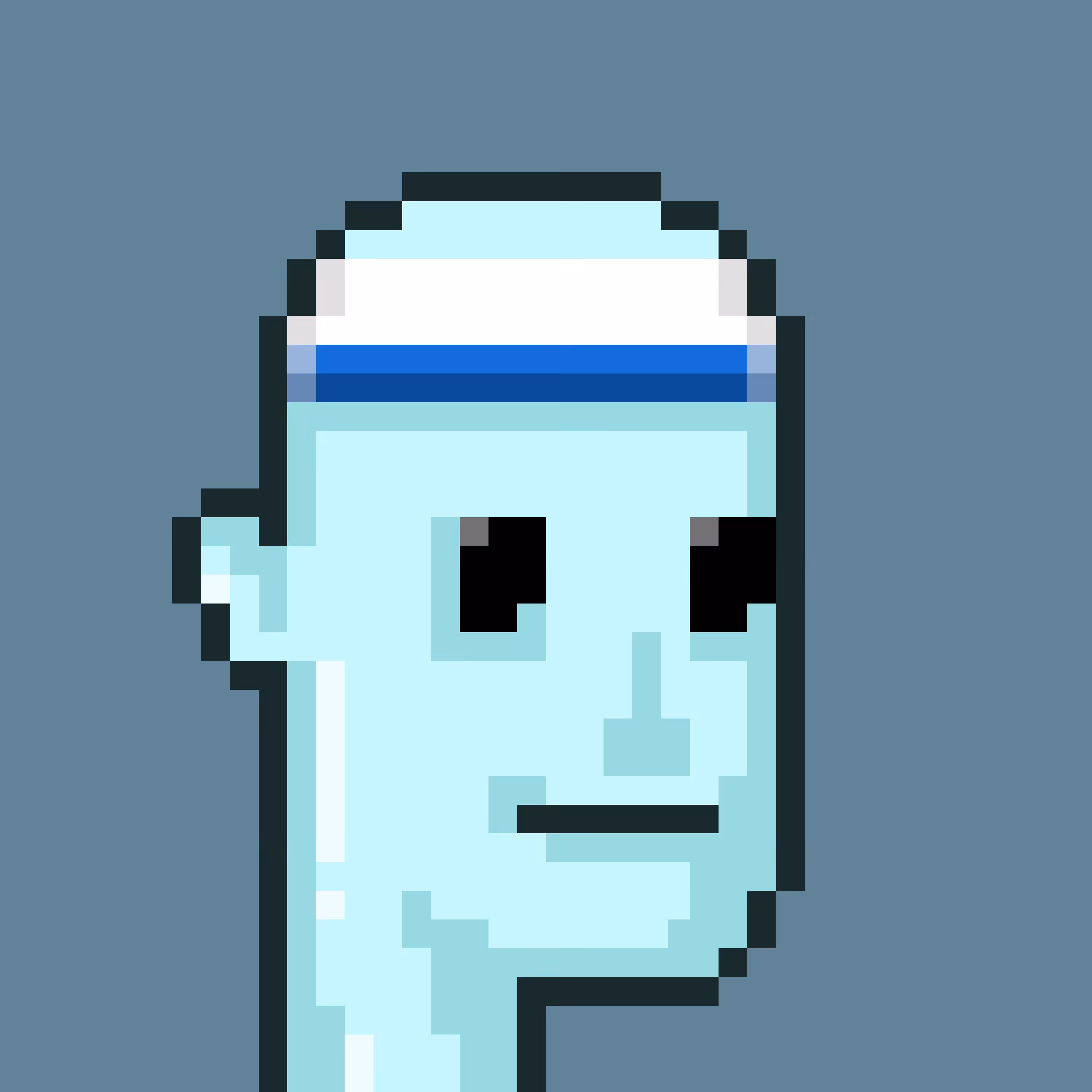 16Bit Punk #3100